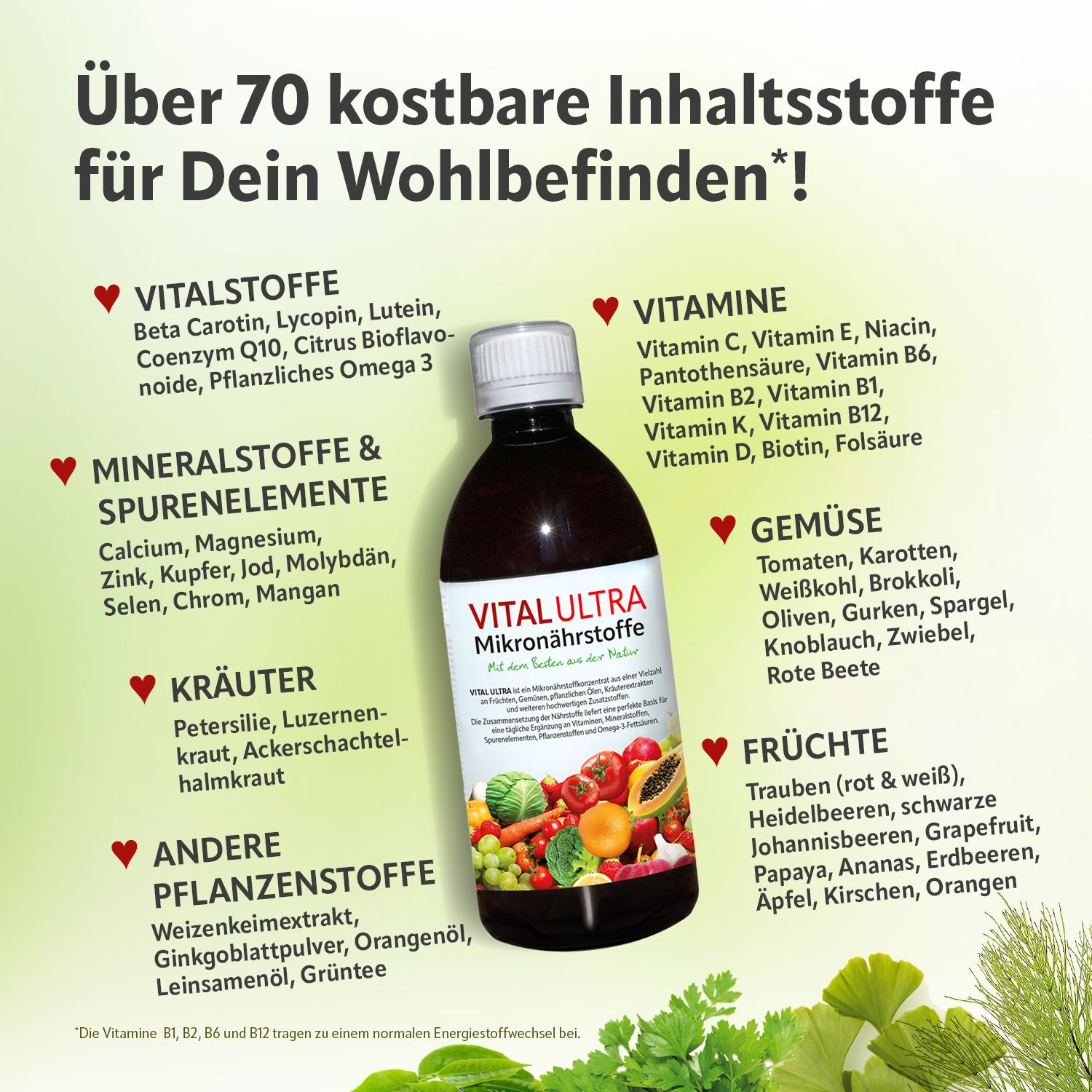 Flasche VITAL ULTRA mit Zutatenliste. Text: Über 70 kostbare Inhaltsstoffe für Dein Wohlbefinden. Auflistung von Vitaminen, Mineralstoffen, Kräutern.