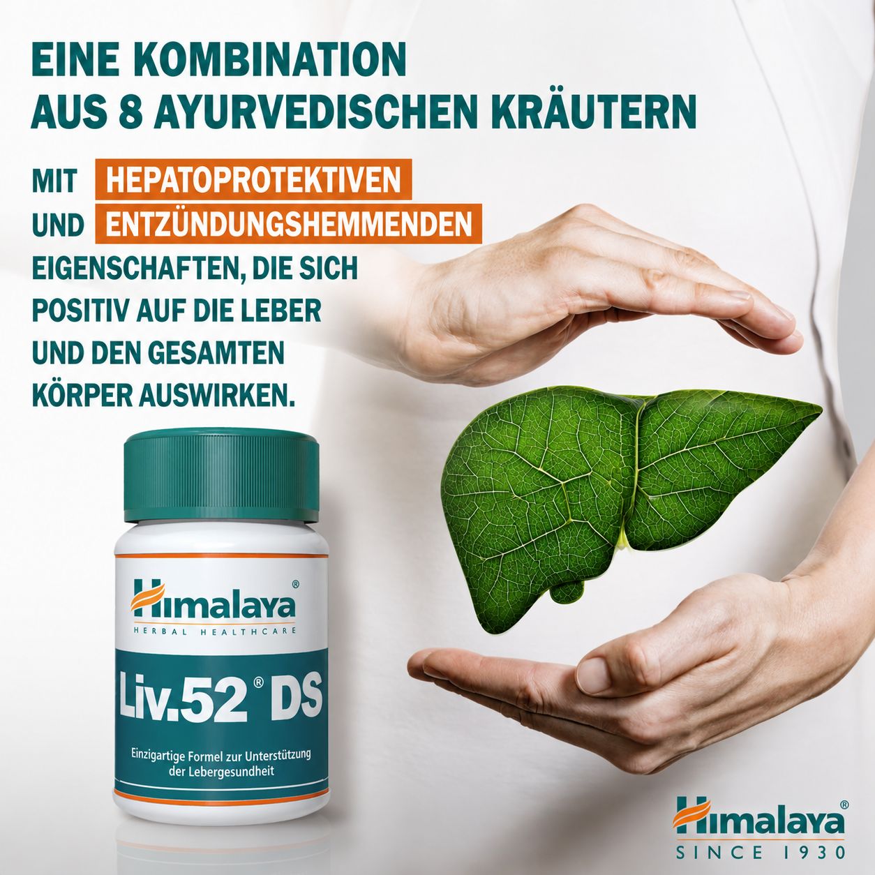 Flasche Himalaya Liv.52 DS Tabletten und eine stilisierte Leber, gehalten von Händen.