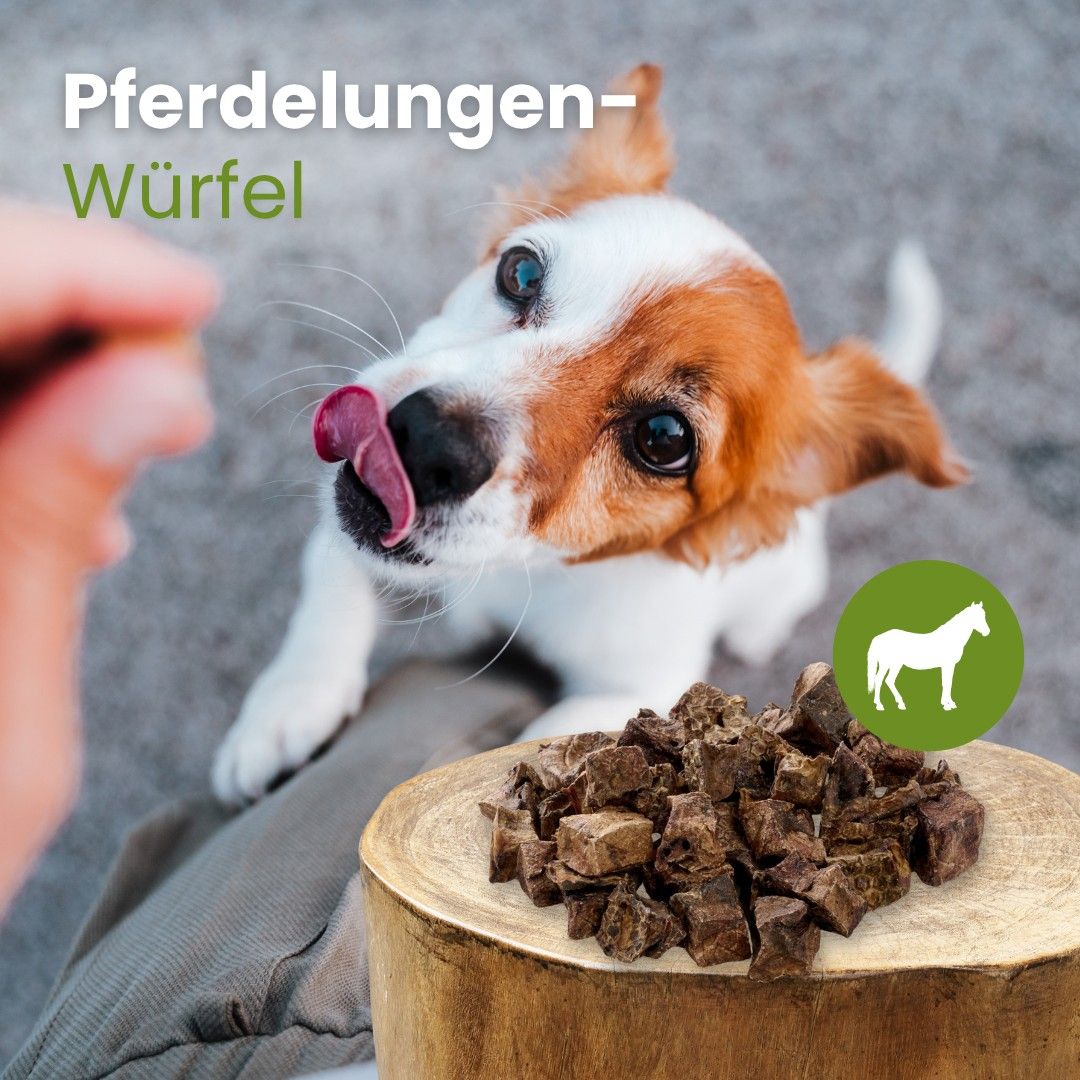 Mehrere Stücke Rinder-Pansen kurz auf weißem Hintergrund.