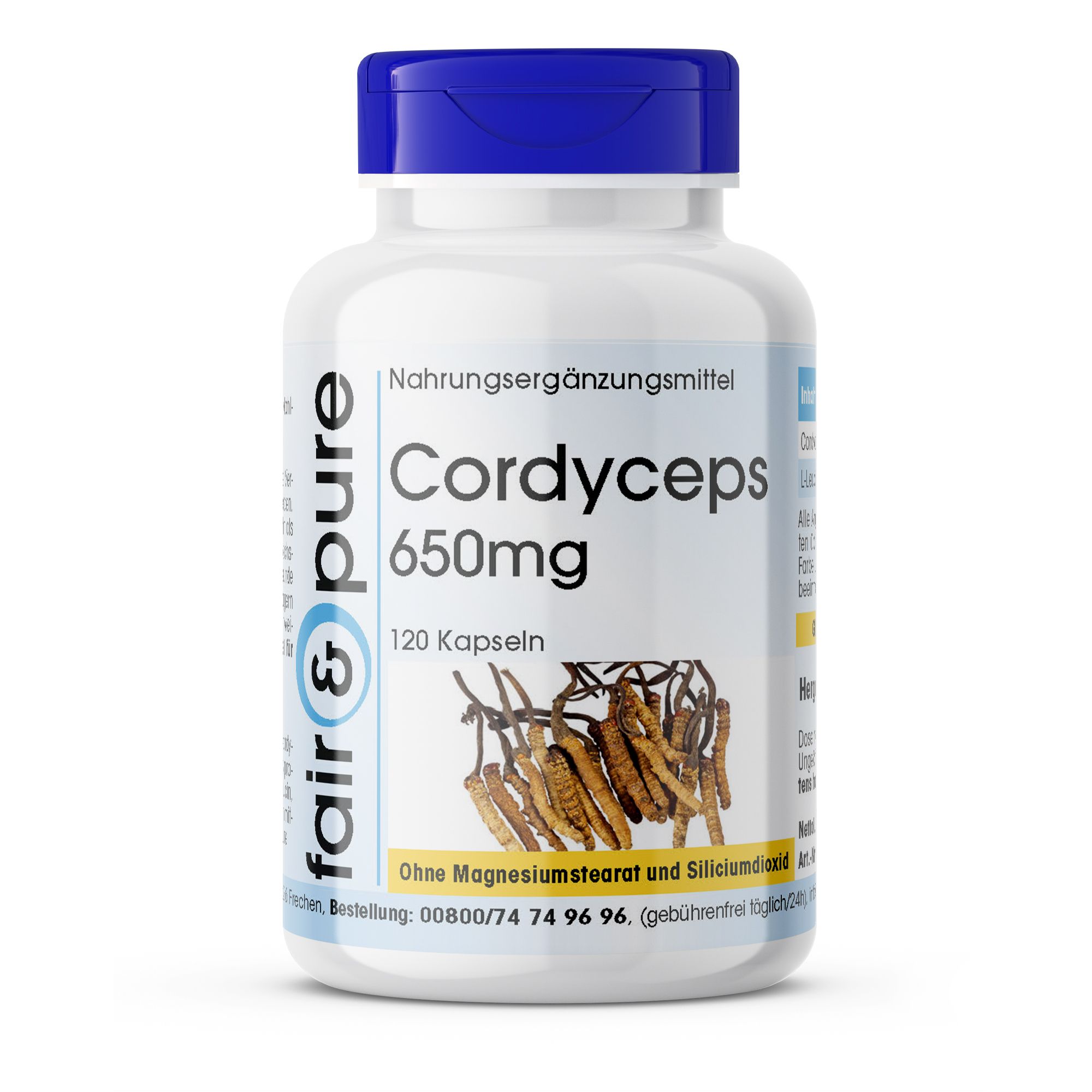 fair - pure | Cordyceps 650mg 120 St