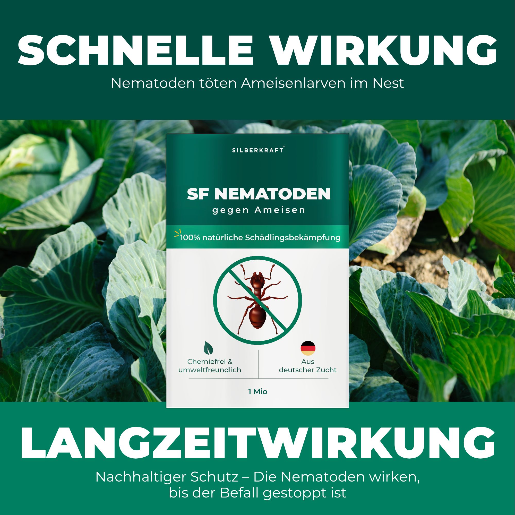 SILBERKRAFT SF Nematoden gegen Ameisen 10 Mio