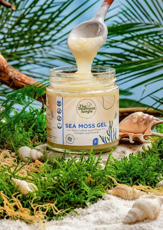 Glas Sea Moss Gel, Löffel hebt Gel heraus. Aufschrift: The Seamoss Jungle, Sea Moss Gel, Wild Crafted Super Food. Umgeben von Pflanzen und Muscheln.