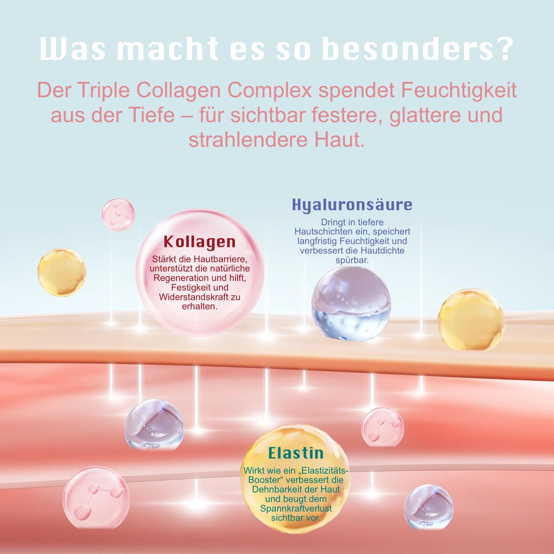 Grafik mit Hautschichten. Text: Was macht es so besonders? Kollagen, Hyaluronsäure, Elastin. Verschiedene farbige Kugeln.