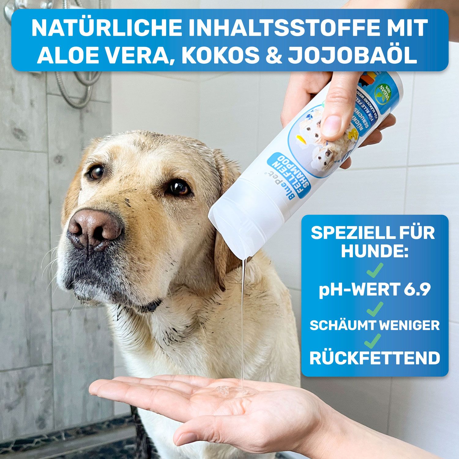 Hund wird mit BluePet Fellfein Shampoo gewaschen. Text: pH-Wert 6,9, schäumt weniger, rückfettend. Mit Aloe Vera, Kokos & Jojobaöl.