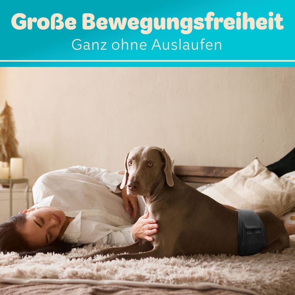 Hundewindel für Rüden, dunkelblau. Hund liegt auf Bett, Frau daneben. Text: Große Bewegungsfreiheit, Ganz ohne Auslaufen.