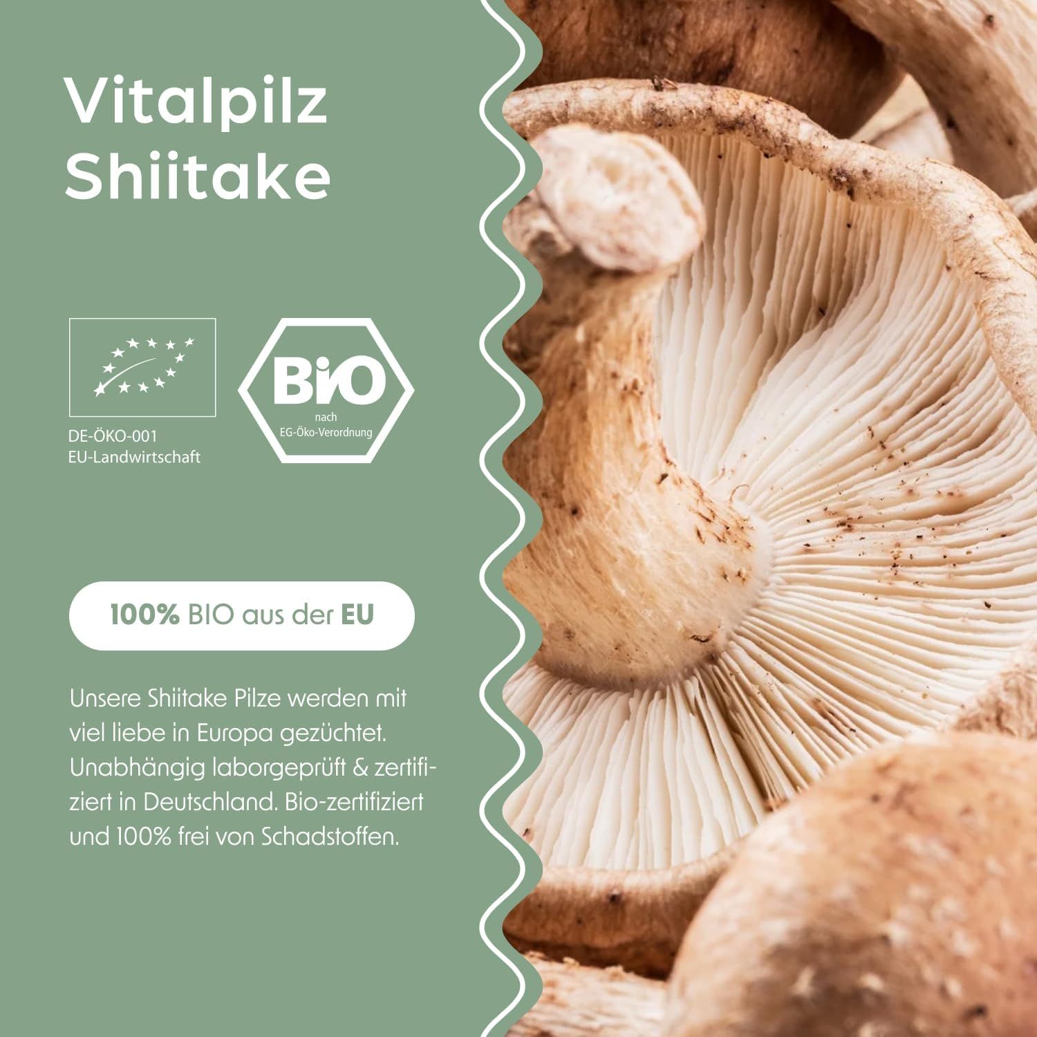 Nahaufnahme von Shiitake-Pilzen. Text: 100% BIO aus der EU. Bio-Zertifiziert. Frei von Schadstoffen.
