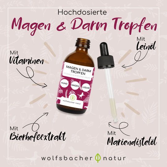 Wolfsbacher Natur Magen & Darm Konzentrat 50 ml Tropfen zum Einnehmen