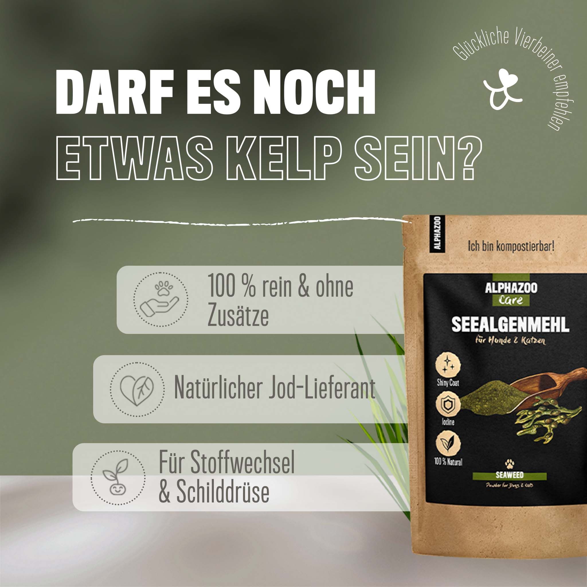 ALPHAZOO Seealgenmehl 250g I Hunde & Katzen