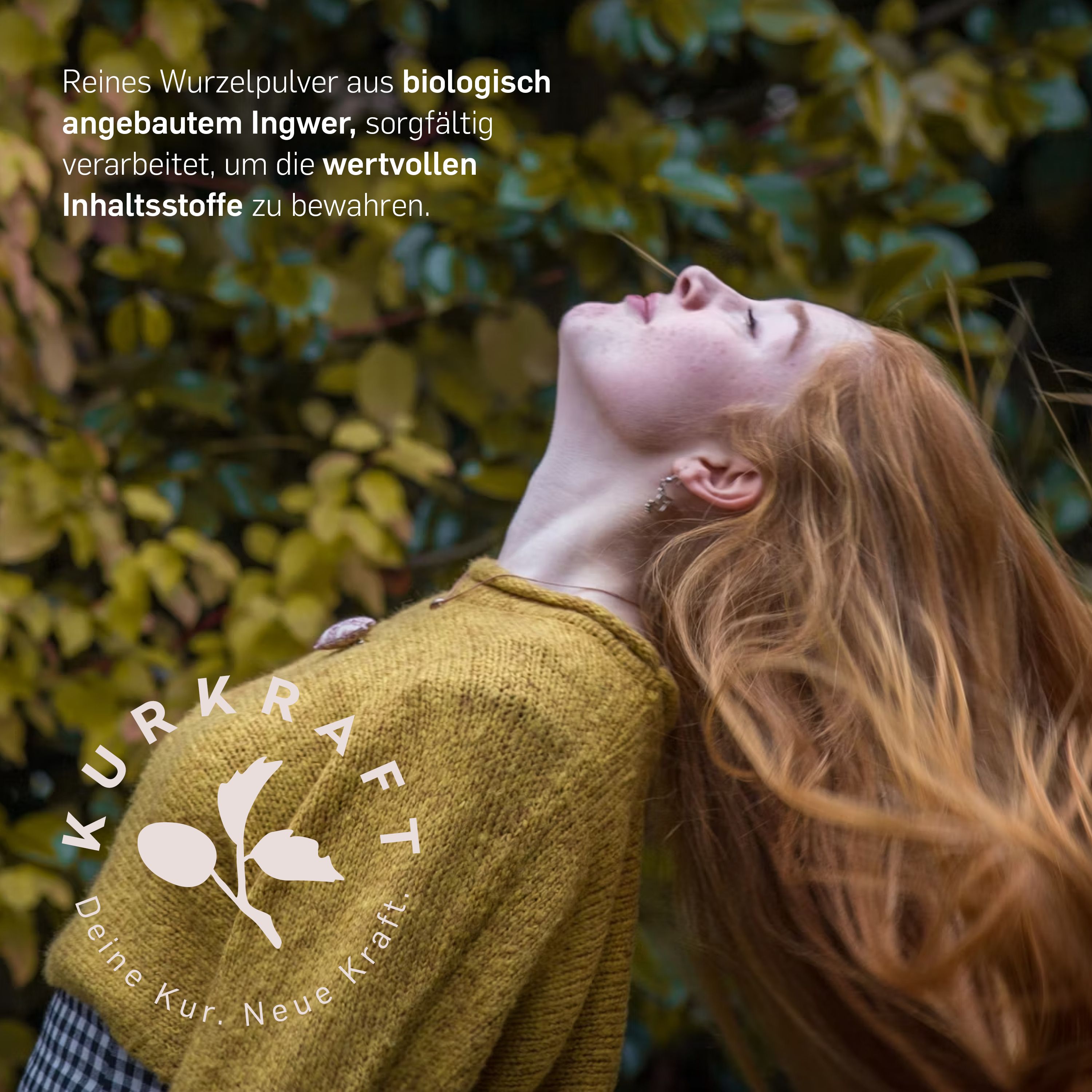 Kurkraft© Bio Ingwer