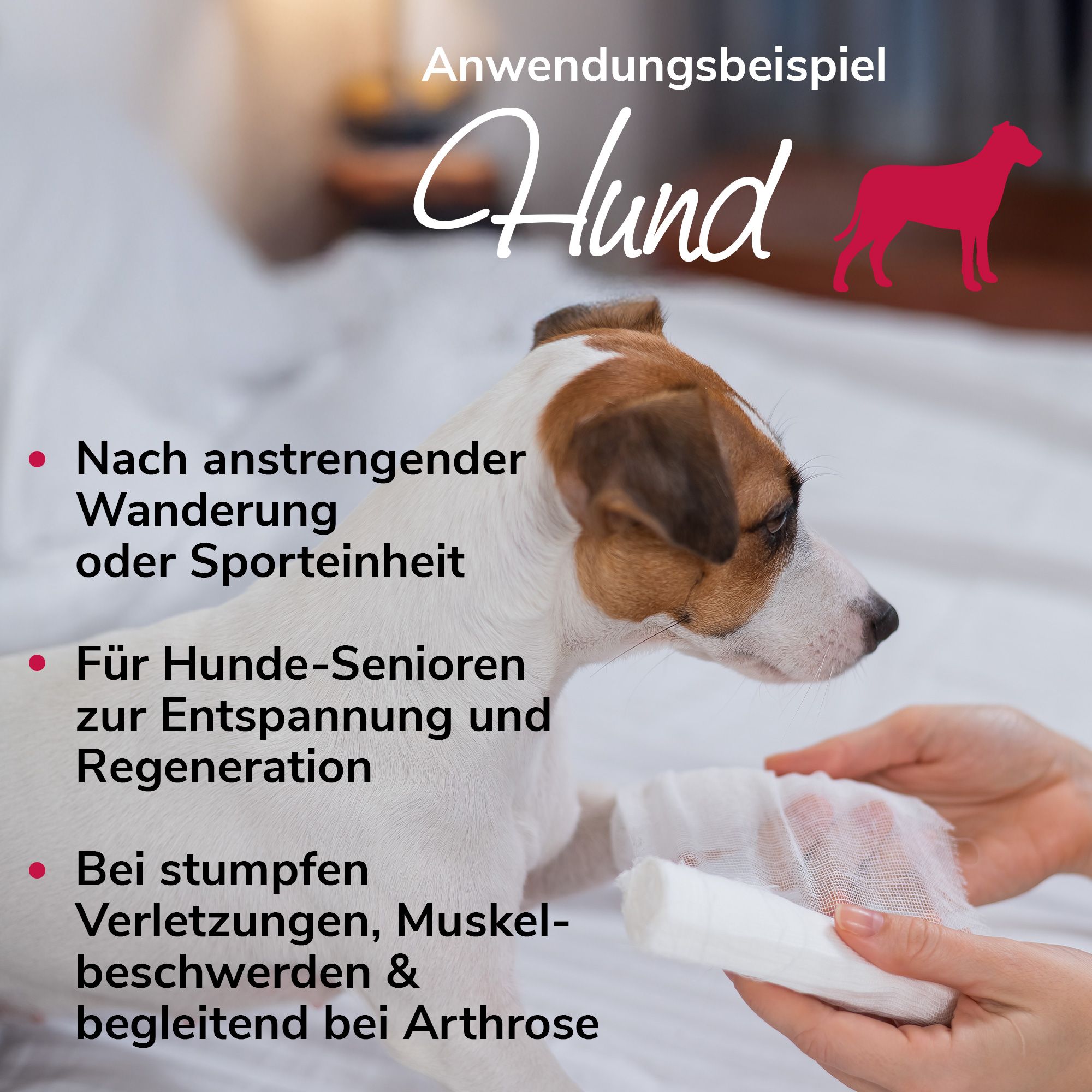 Arnikawunderwickel für Pferde, Hunde & Katzen