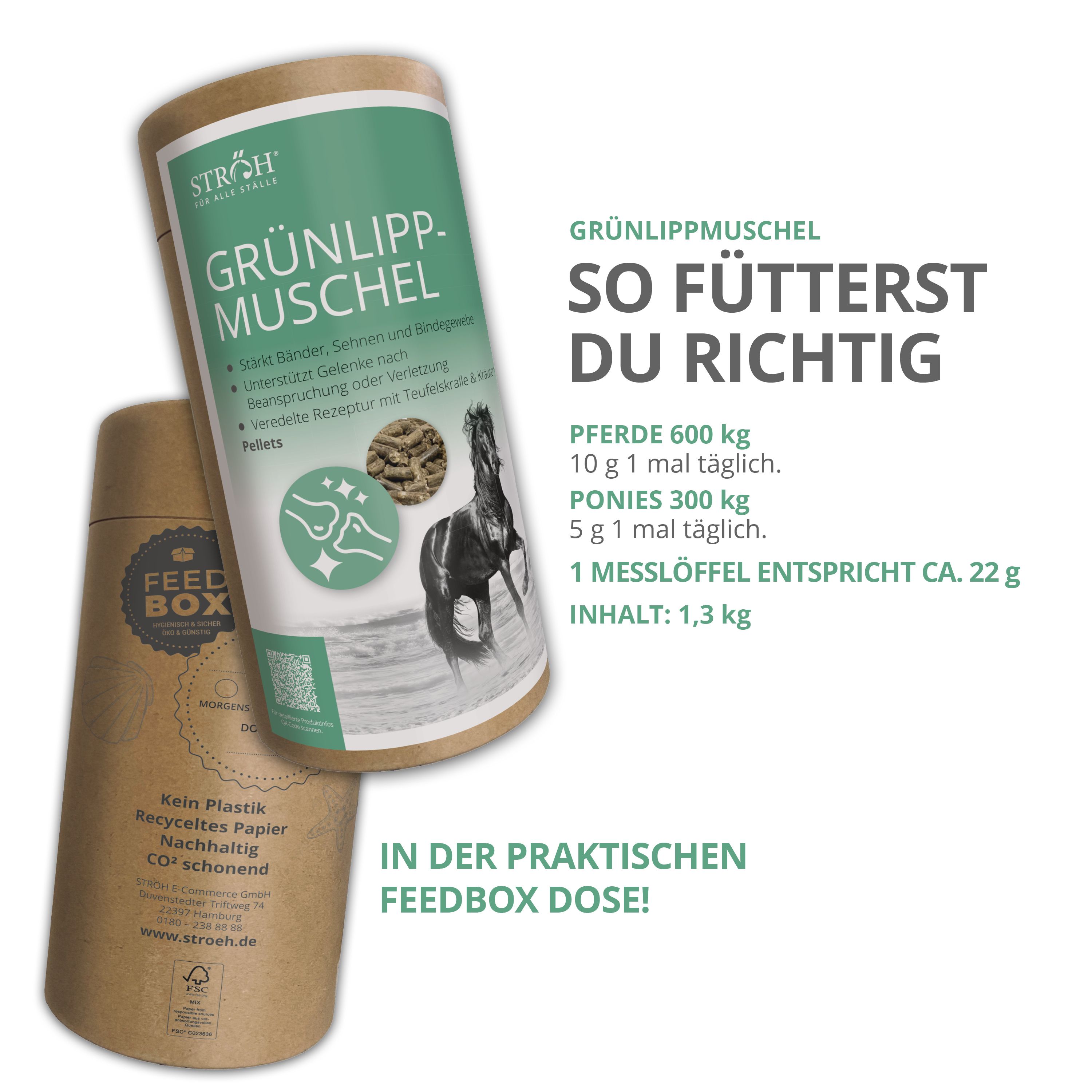 Zylinderdose "GRÜNLIPPMUSCHEL" und Feedbox-Dose. Text: "IN DER PRAKTISCHEN FEEDBOX DOSE!". Logo "STRÖH".