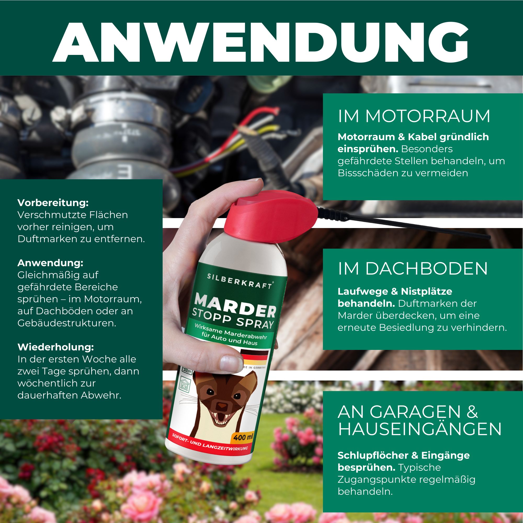 Hand hält Spraydose SILBERKRAFT Marder-Stopp Spray. Text: Anwendung. Bereiche: Motorraum, Dachboden, Garage. 400 ml Dose.
