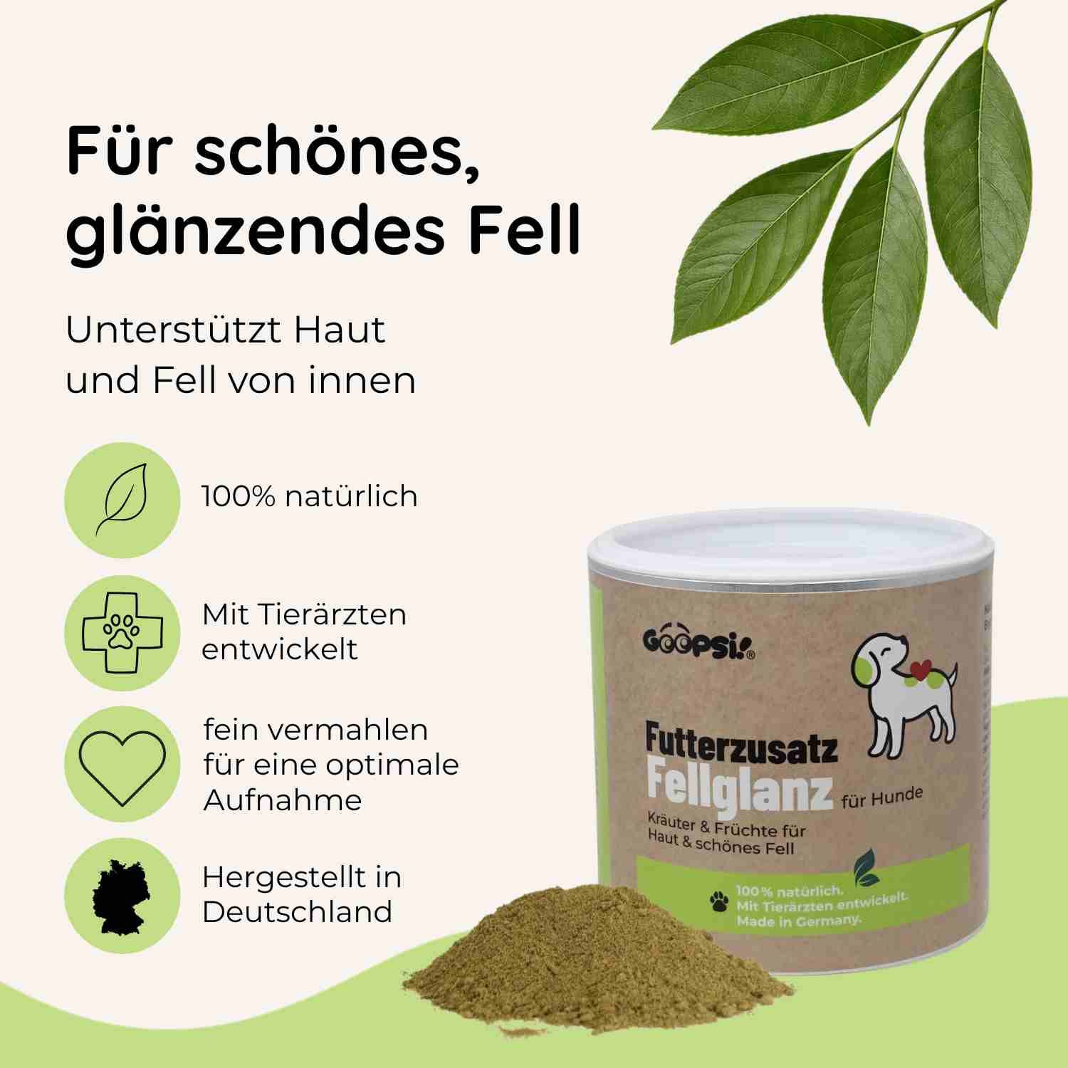 Hund liegt entspannt, Text über Haut- und Fellprobleme: stumpfes Fell, sensible Haut.