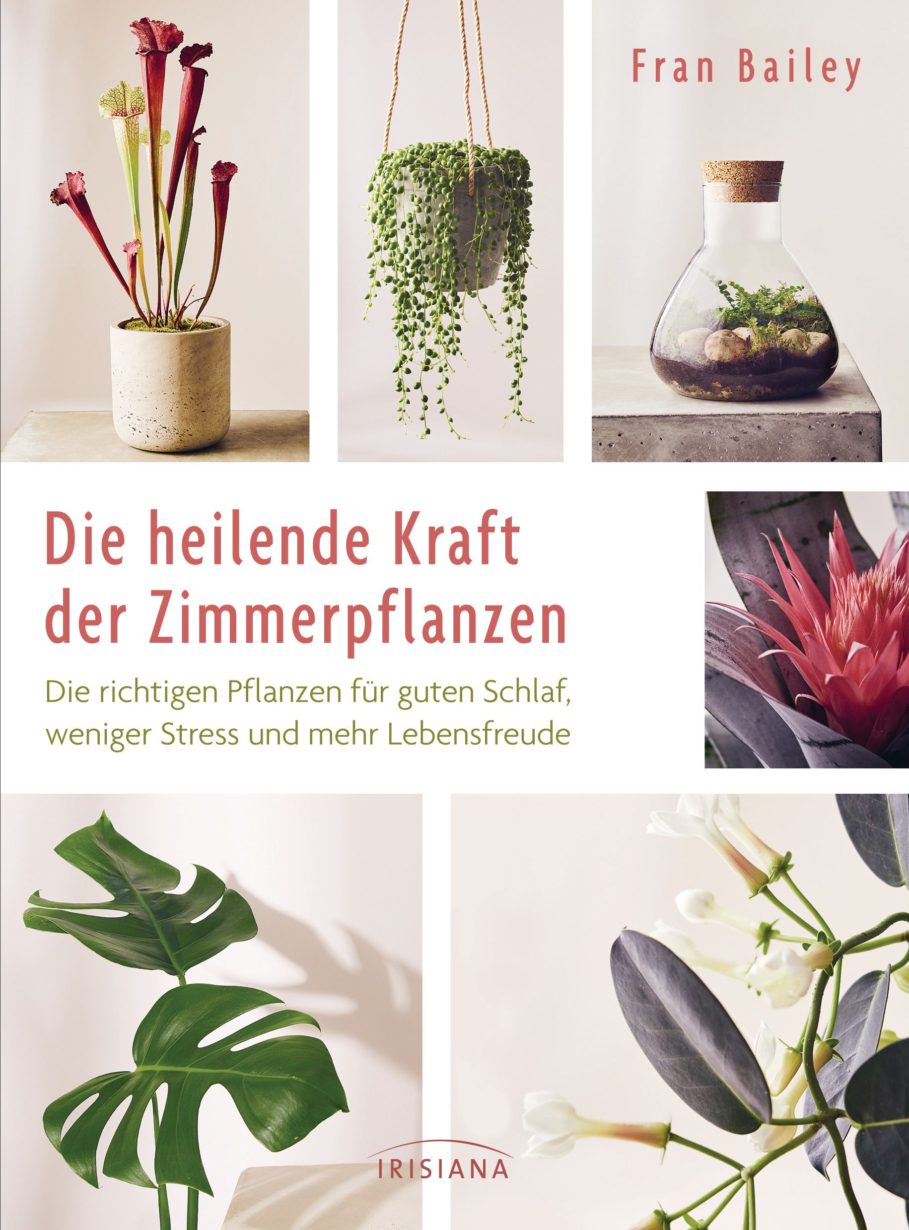 Buchcover mit dem Titel "Die heilende Kraft der Zimmerpflanzen" von Fran Bailey. Verschiedene Pflanzenarrangements.