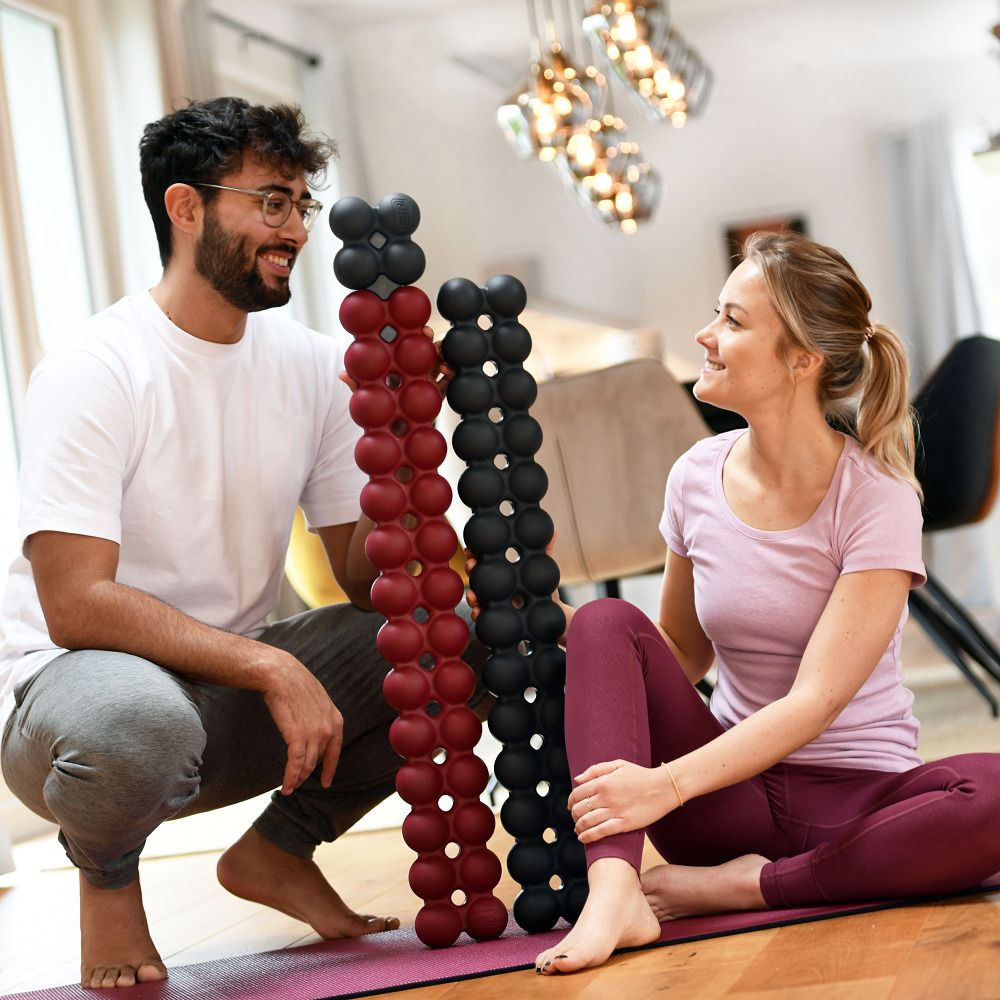 Spinefitter by Sissel Rückentrainer Mini