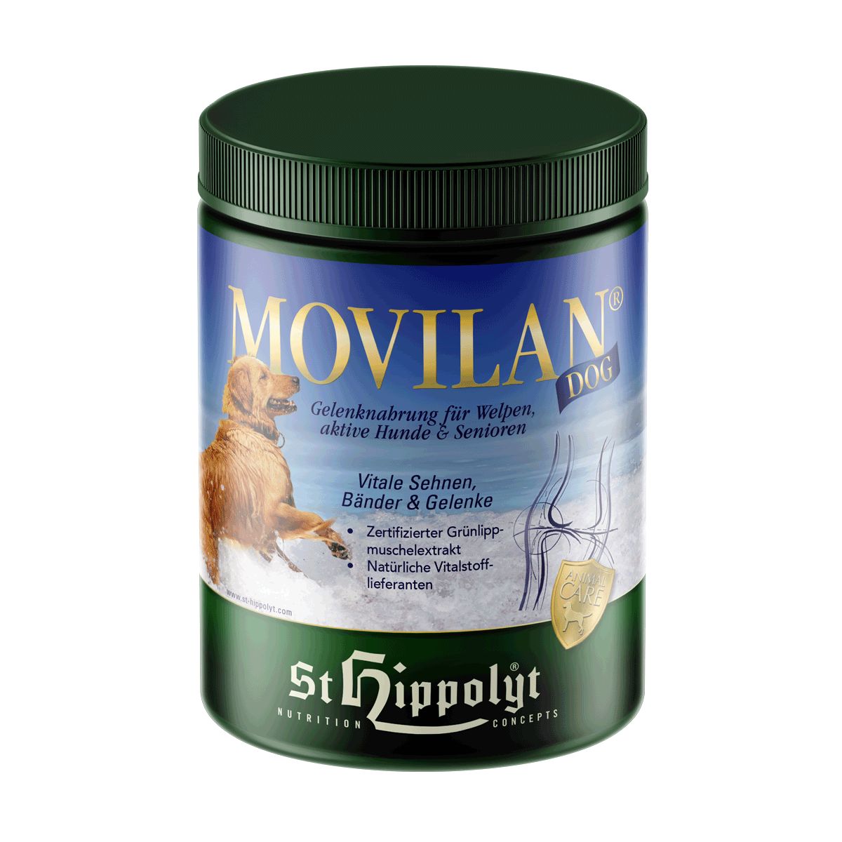 St. Hippolyt Movilan Dog