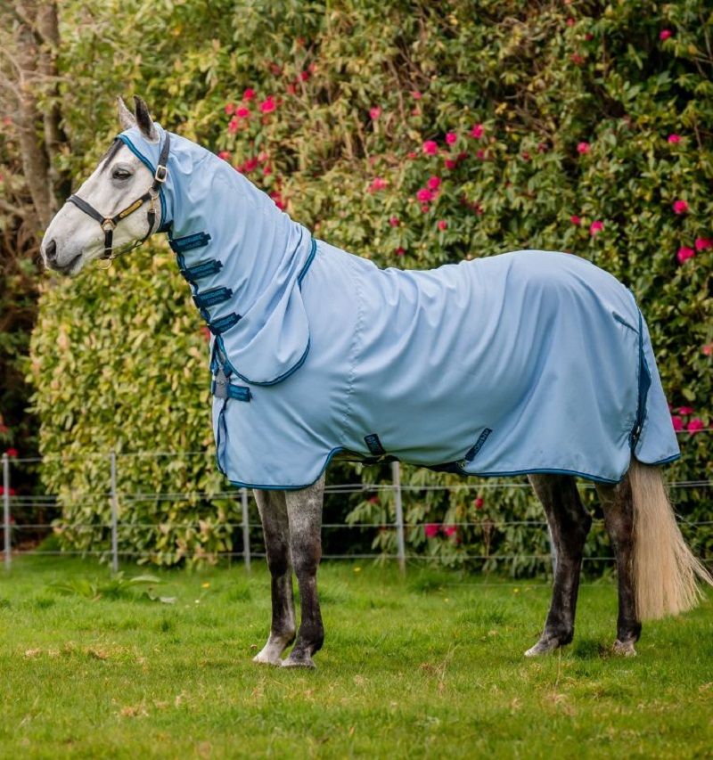 Hellblaue Fliegendecke mit Kapuze auf einem Pony. Dunkelblaue Paspelierung und Verschlüsse. Pony steht auf einer Wiese.