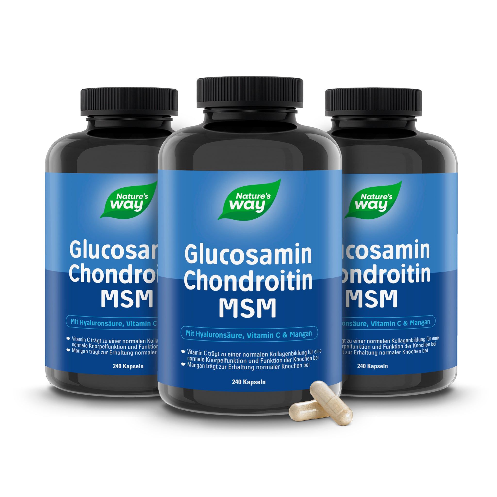 Nature's Way Glucosamin Chondroitin MSM Kapseln