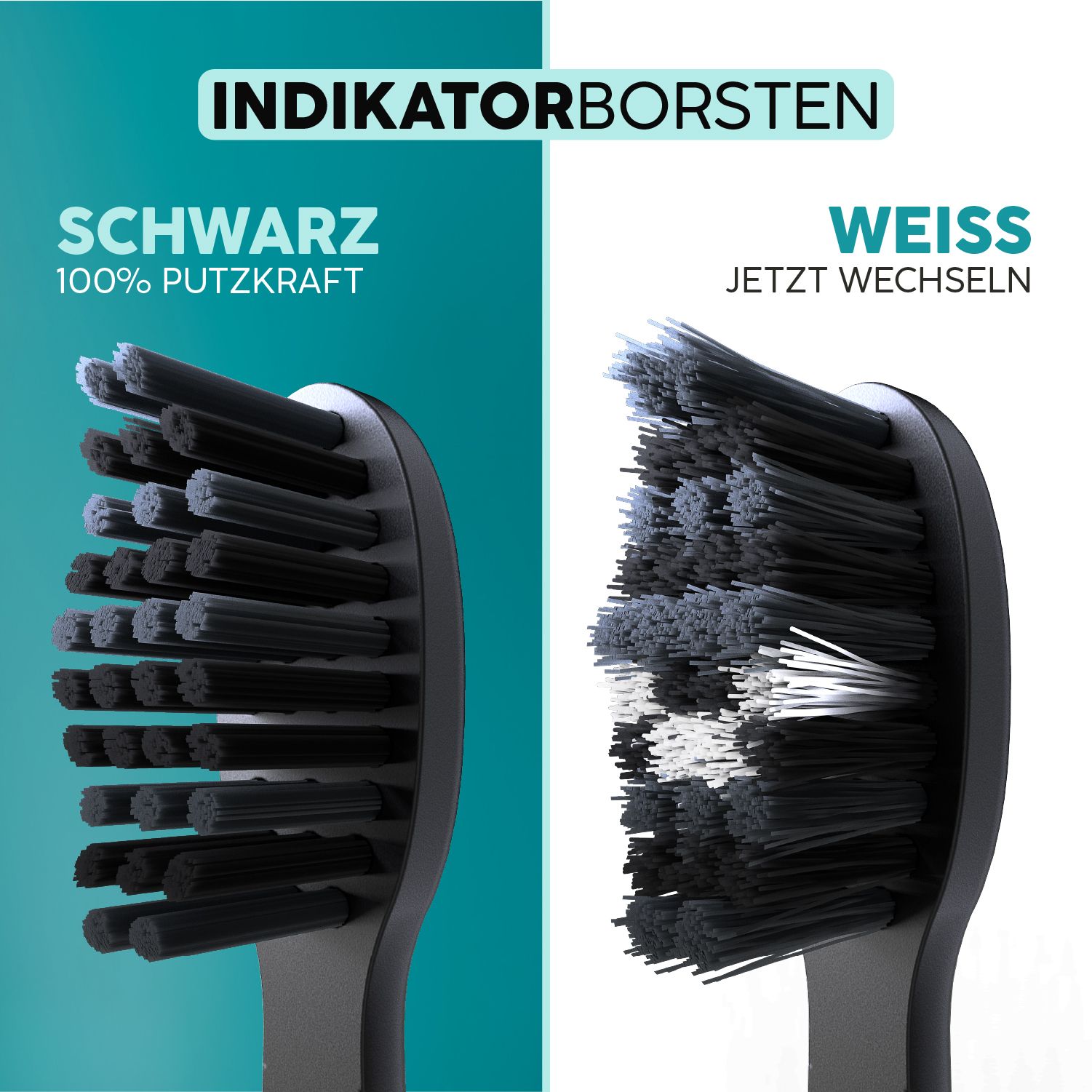 Zwei Zahnbürstenköpfe nebeneinander. Links: Schwarz. Rechts: Weiß. Text: Indikatorborsten. Jetzt wechseln.