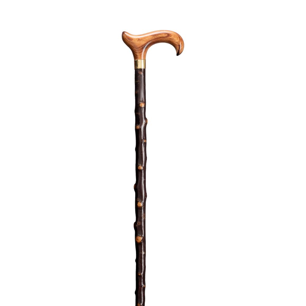 Gehstock mit Derby-Griff aus Holz. Dunkelbrauner Schaft mit Knospen. Goldfarbener Ring am Übergang zum Griff.