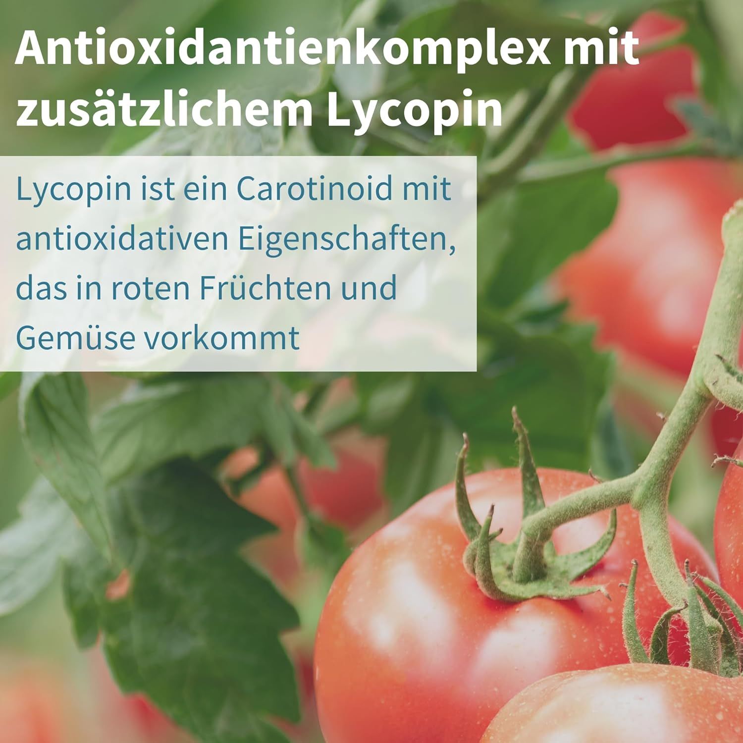 Igennus Advanced Multivitamin Tabletten für Männer