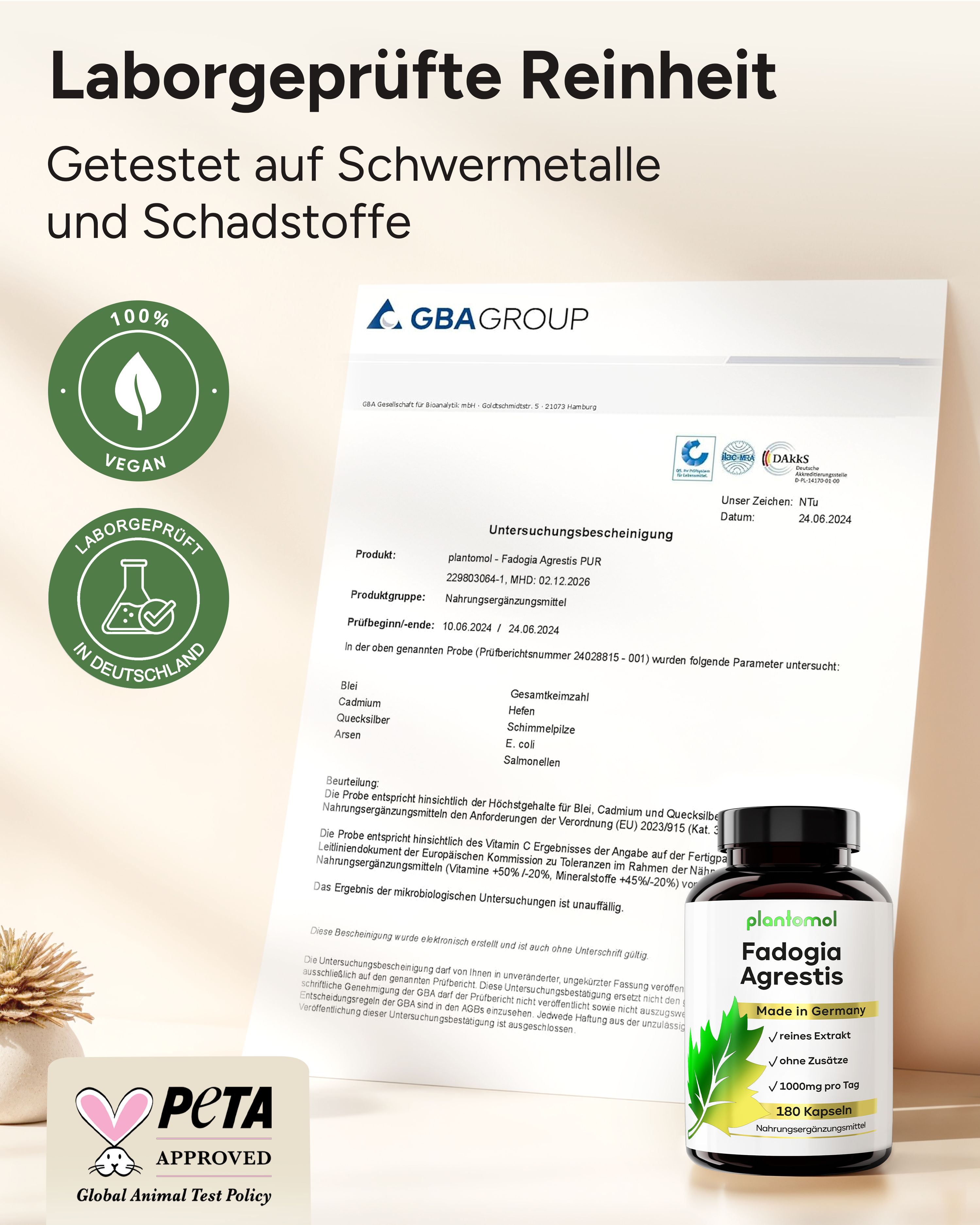 plantomol® Fadogia Agrestis Extrakt Kapseln ohne Zusätze - 20.000mg Fadogia pro Tag (2 Kapseln)