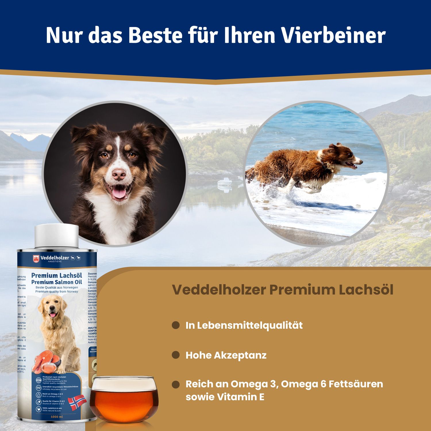 Dose mit Aufschrift Premium Lachsöl. Ein Hund und ein Glas Öl. Text: In Lebensmittelqualität. Reich an Omega 3, Omega 6 Fettsäuren.