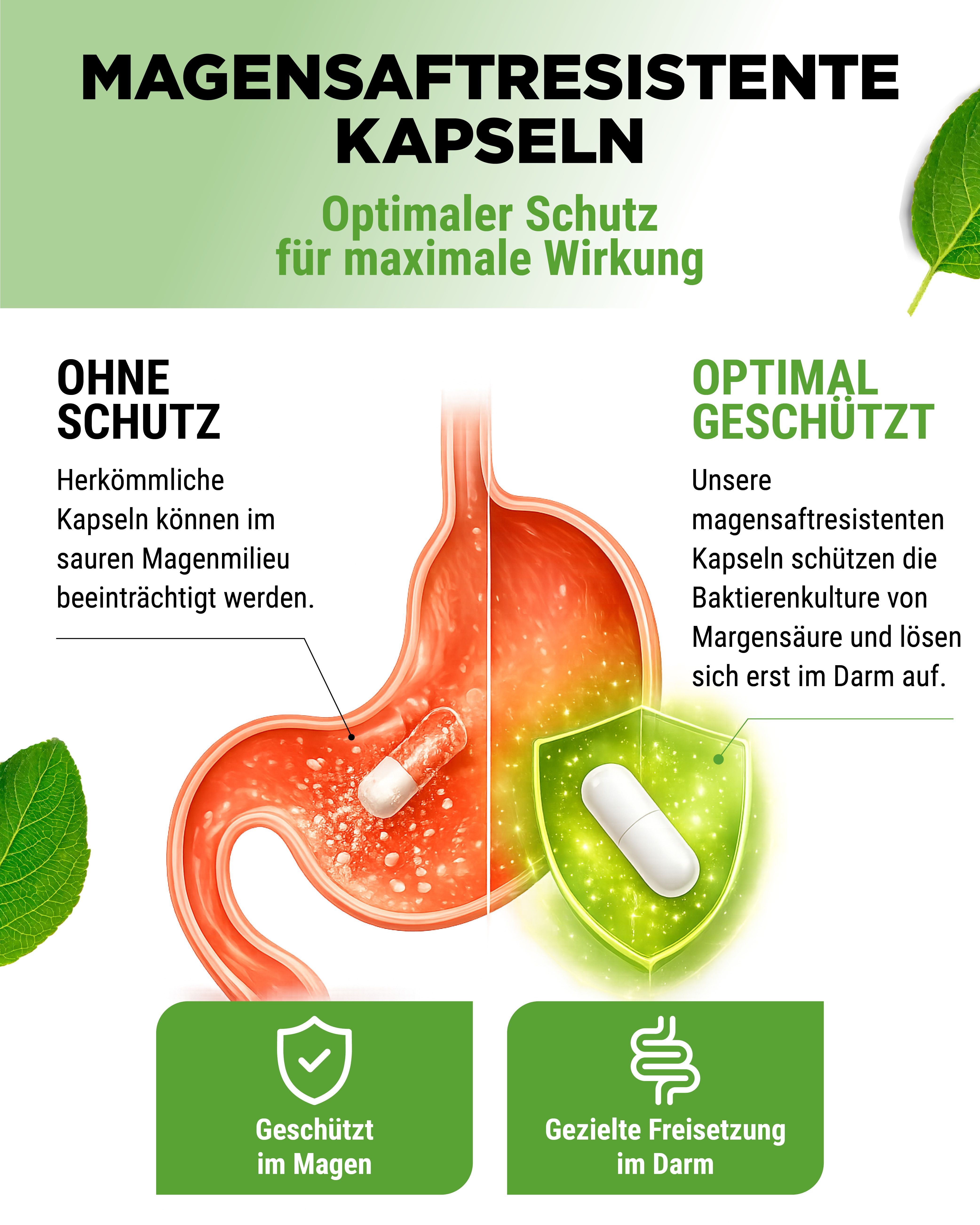 Magensaftresistente Kapseln: Schutz vor Magensäure für optimale Wirkung im Darm.