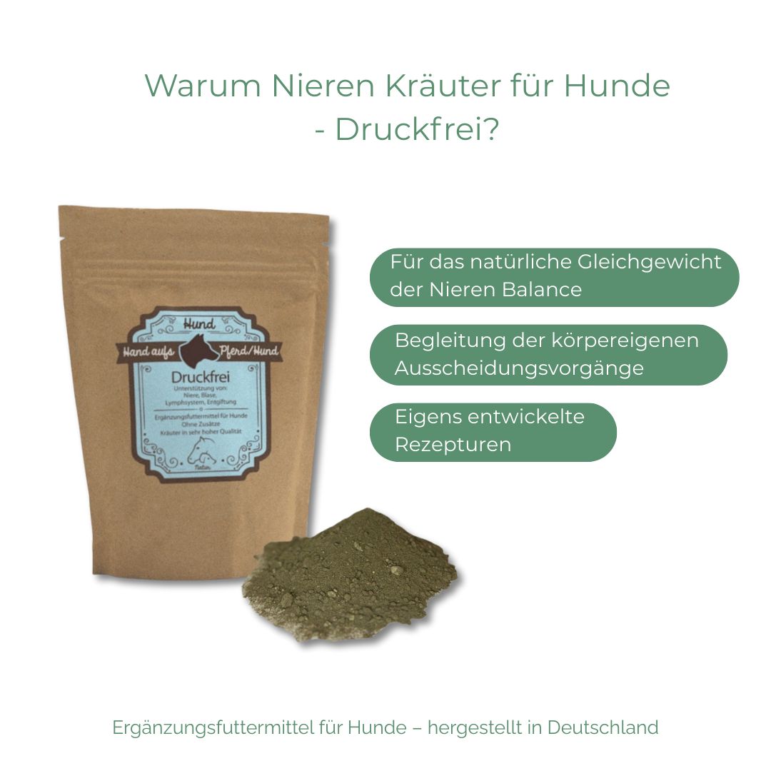 Braune Tüte mit blauem Etikett, Kräuterpulver daneben. Text: Warum Nieren Kräuter für Hunde - Druckfrei? Drei grüne Textfelder.