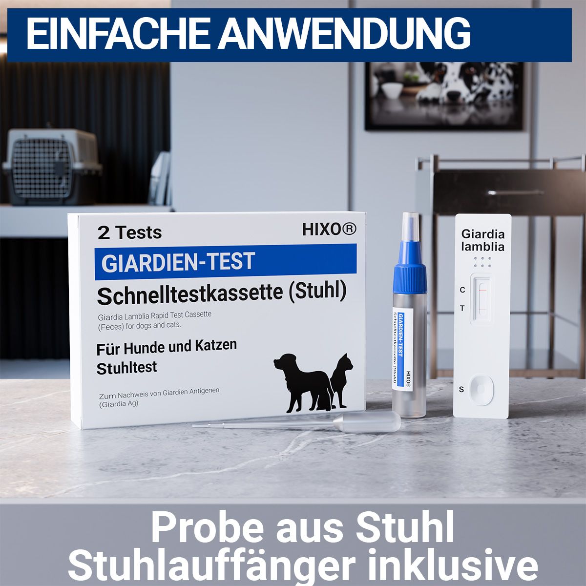 Testkit mit Testkassette, Probenröhrchen und Teststreifen. Hintergrund: Wohnraum. Text: Einfache Anwendung, Probe aus Stuhl.