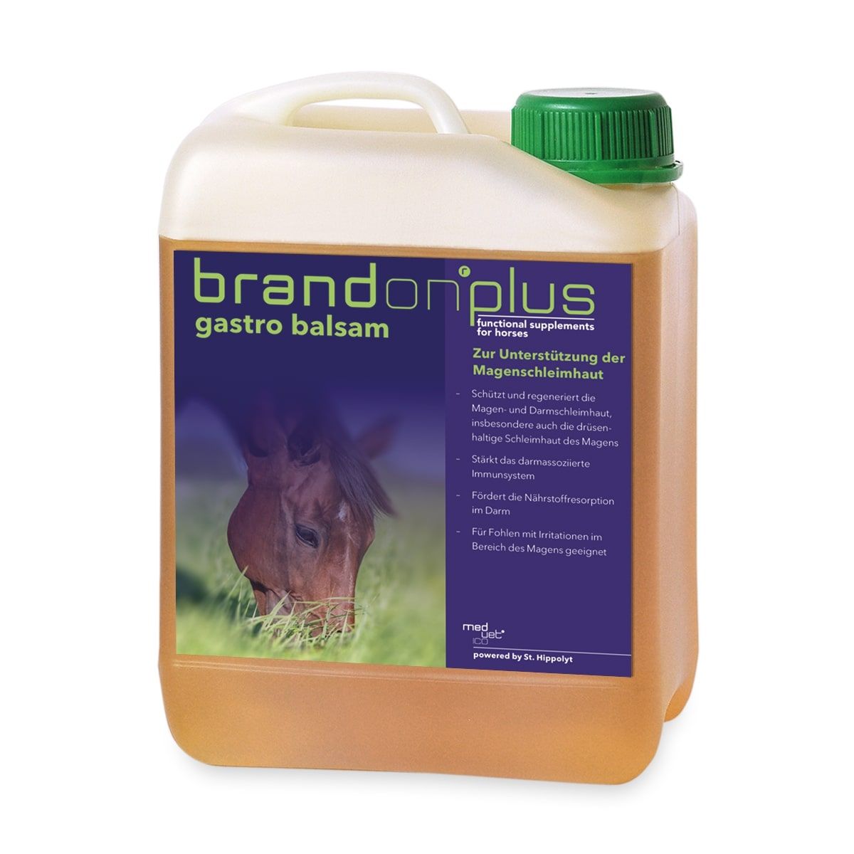 Brandon plus GastroBalsam