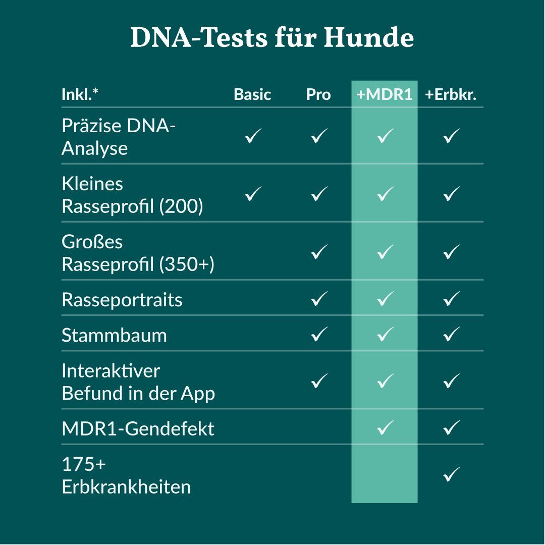 Vergleichstabelle verschiedener Hund-DNA-Tests: Basic, Pro, +MDR1, +Erbkr. mit Merkmalen.