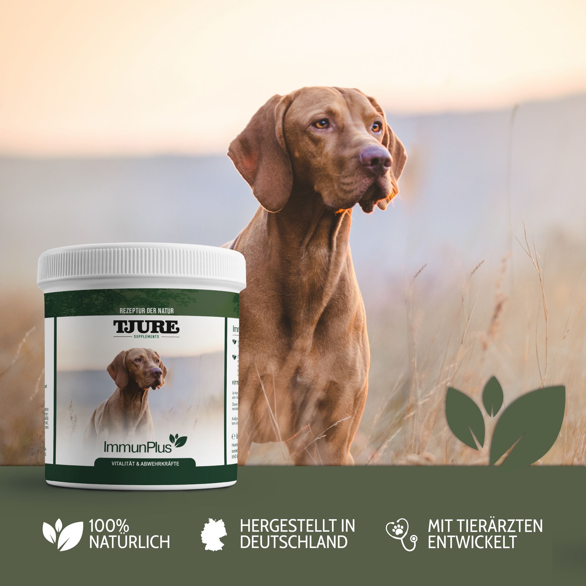 Weißes Produktglas TJURE. Hund im Hintergrund. Text: Hergestellt in Deutschland. Mit Tierärzten entwickelt.