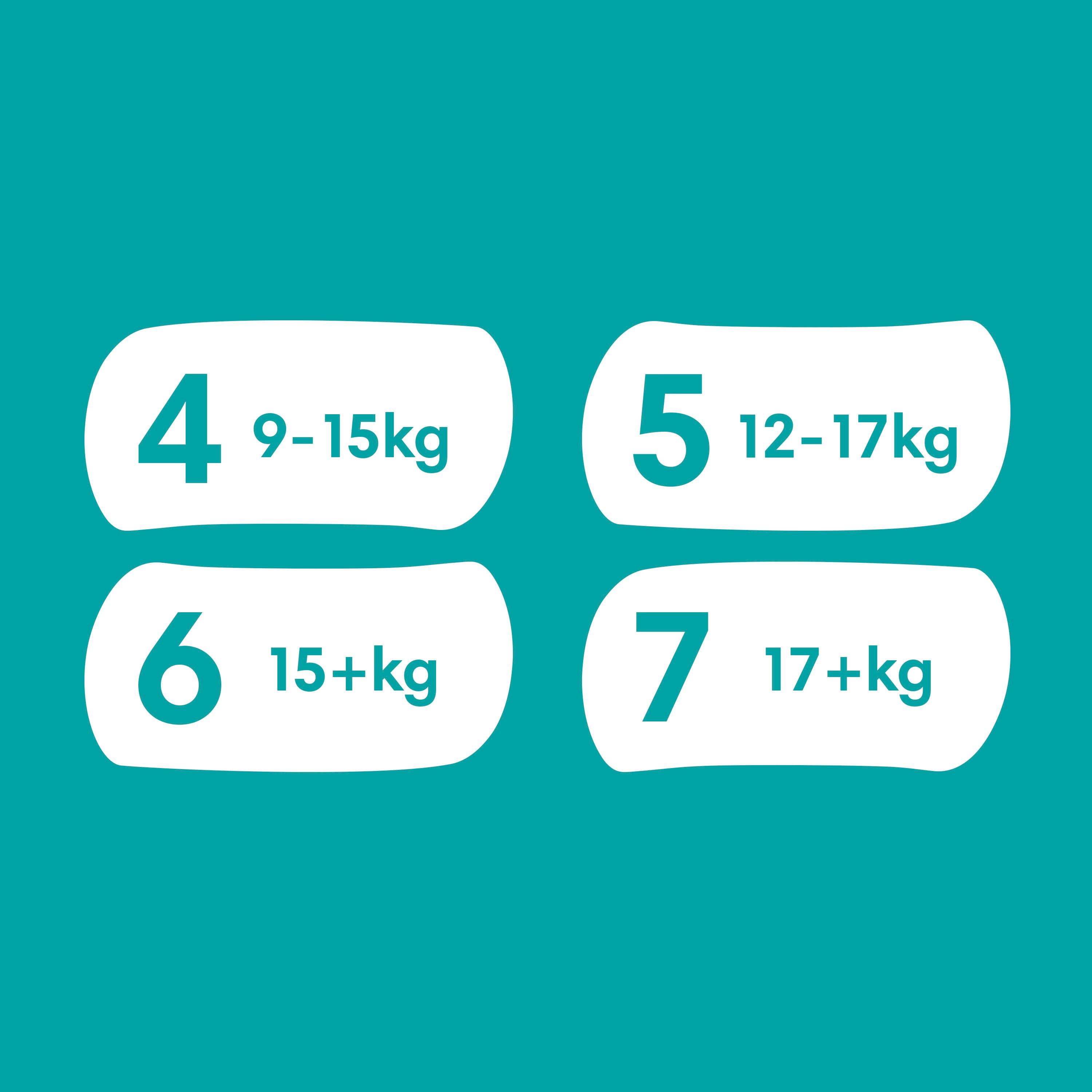 Pampers - Windeln "Premium Protection Pants Gr.7 17+kg"