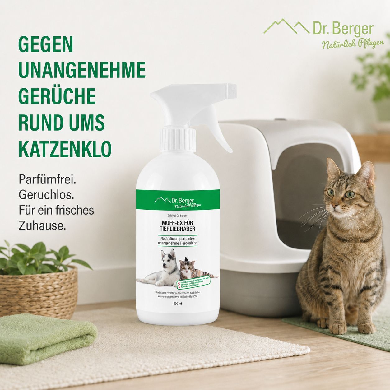 Sprühflasche neben einer Katzentoilette mit einer Katze.