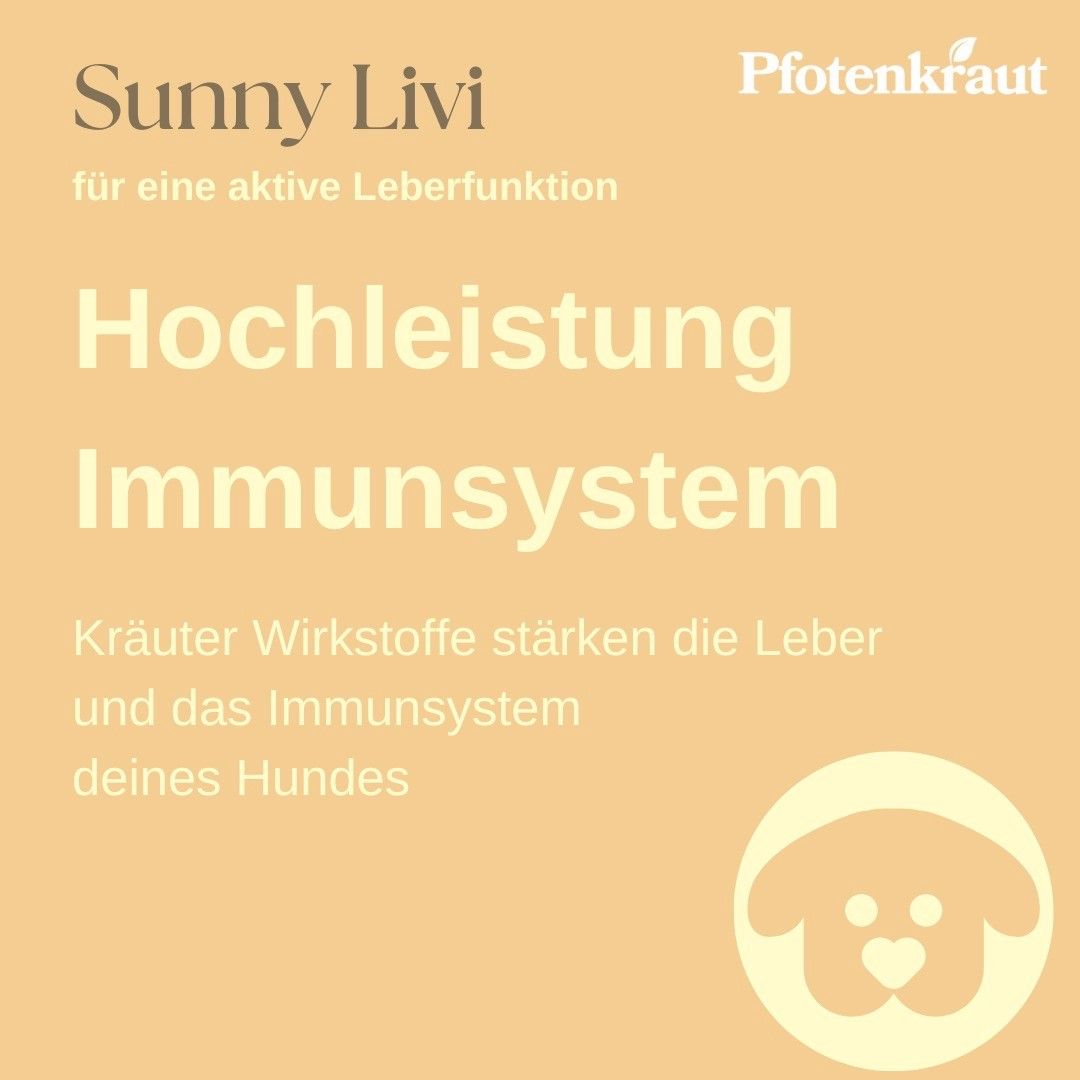 Pfotenkraut Leber Kräuter SUNNY LIVI
