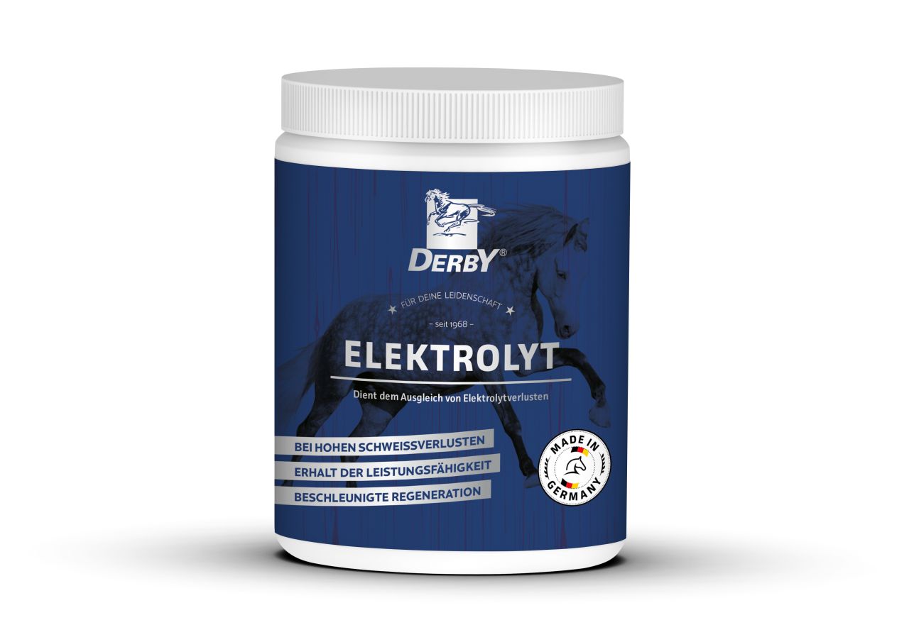 Derby Zusatzfutter Elektrolyt