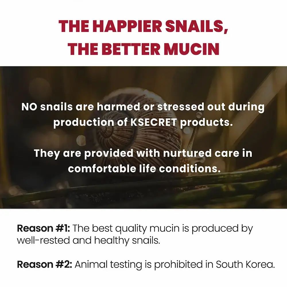 Nahaufnahme einer Schnecke auf Blättern. Text: THE HAPPIER SNAILS, THE BETTER MUCIN. Text über Schnecken.