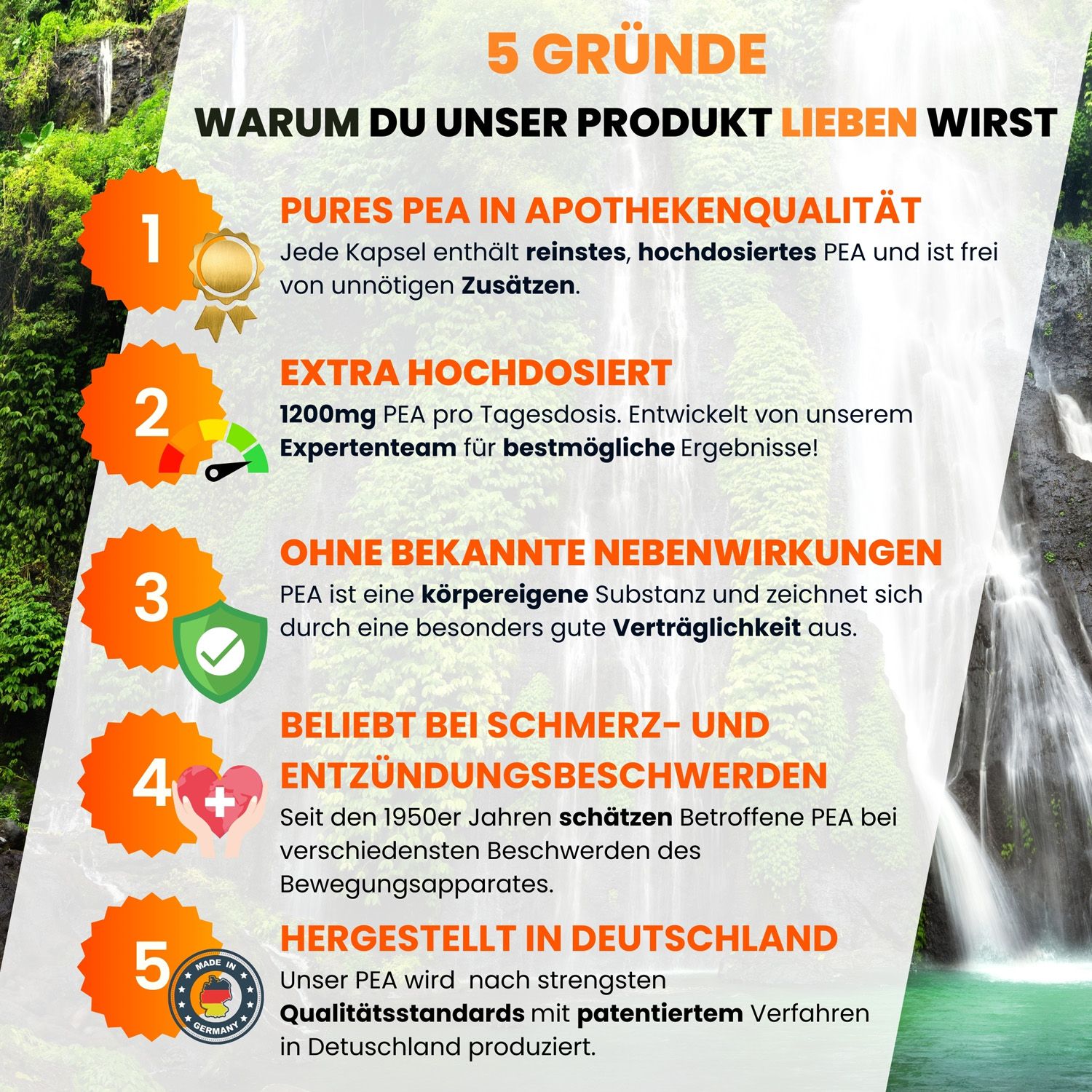 supplenatura Rheinland® - PEA (Palmitoylethanolamid) Kapseln