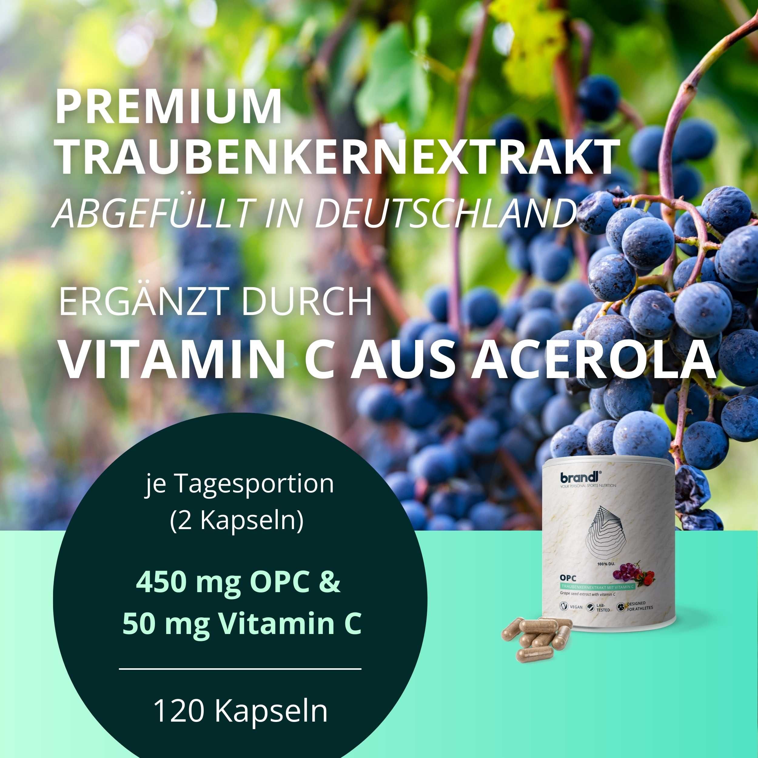 brandl® OPC Traubenkernextrakt mit Vitamin C aus Acerola 240 St Kapseln