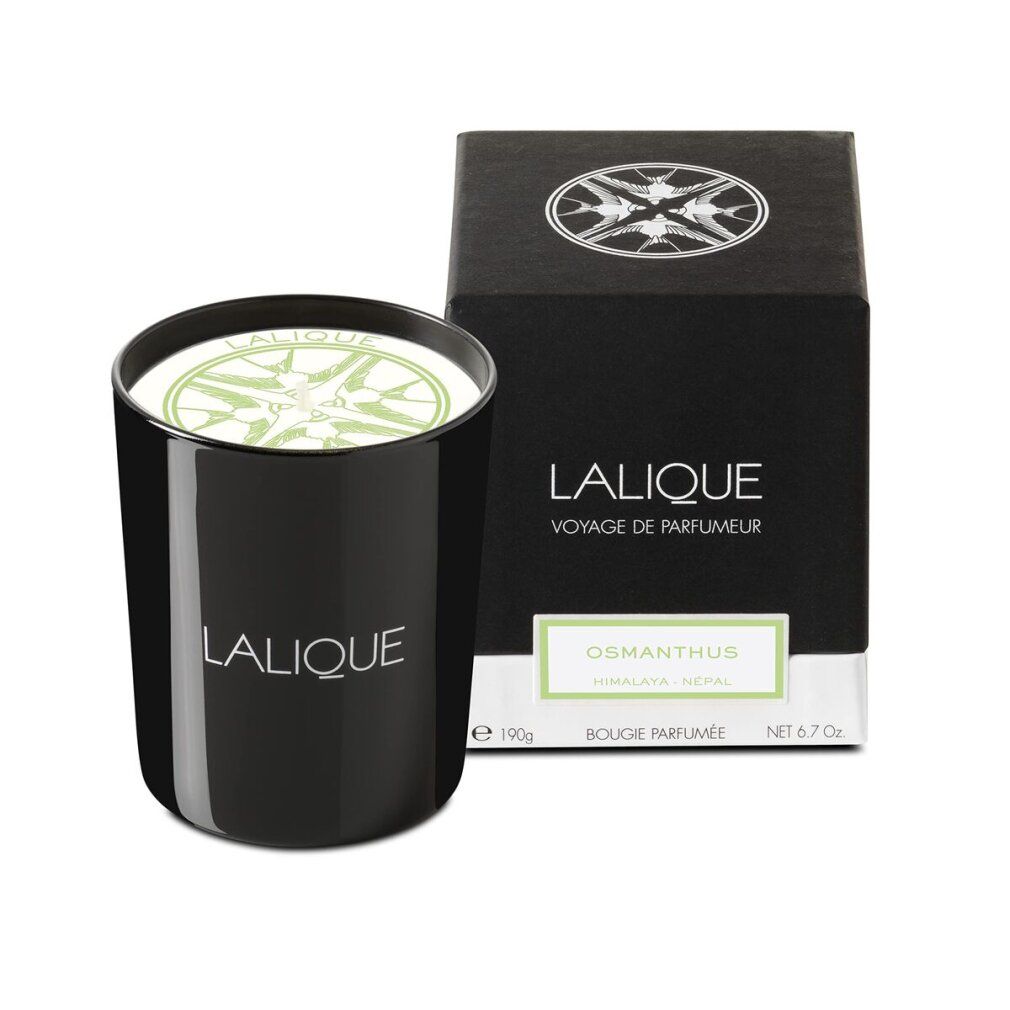 Schwarze Kerze und Schachtel. Aufschrift: LALIQUE, Osmanthus, Bougie Parfumée. Nettogewicht 6.7 Oz.