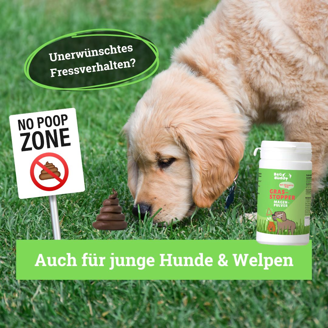 Hund auf Rasen. Schild: No Poop Zone. Daneben Kot. Dose mit grünem Etikett: Gras-Stopper. Text: Auch für junge Hunde & Welpen.