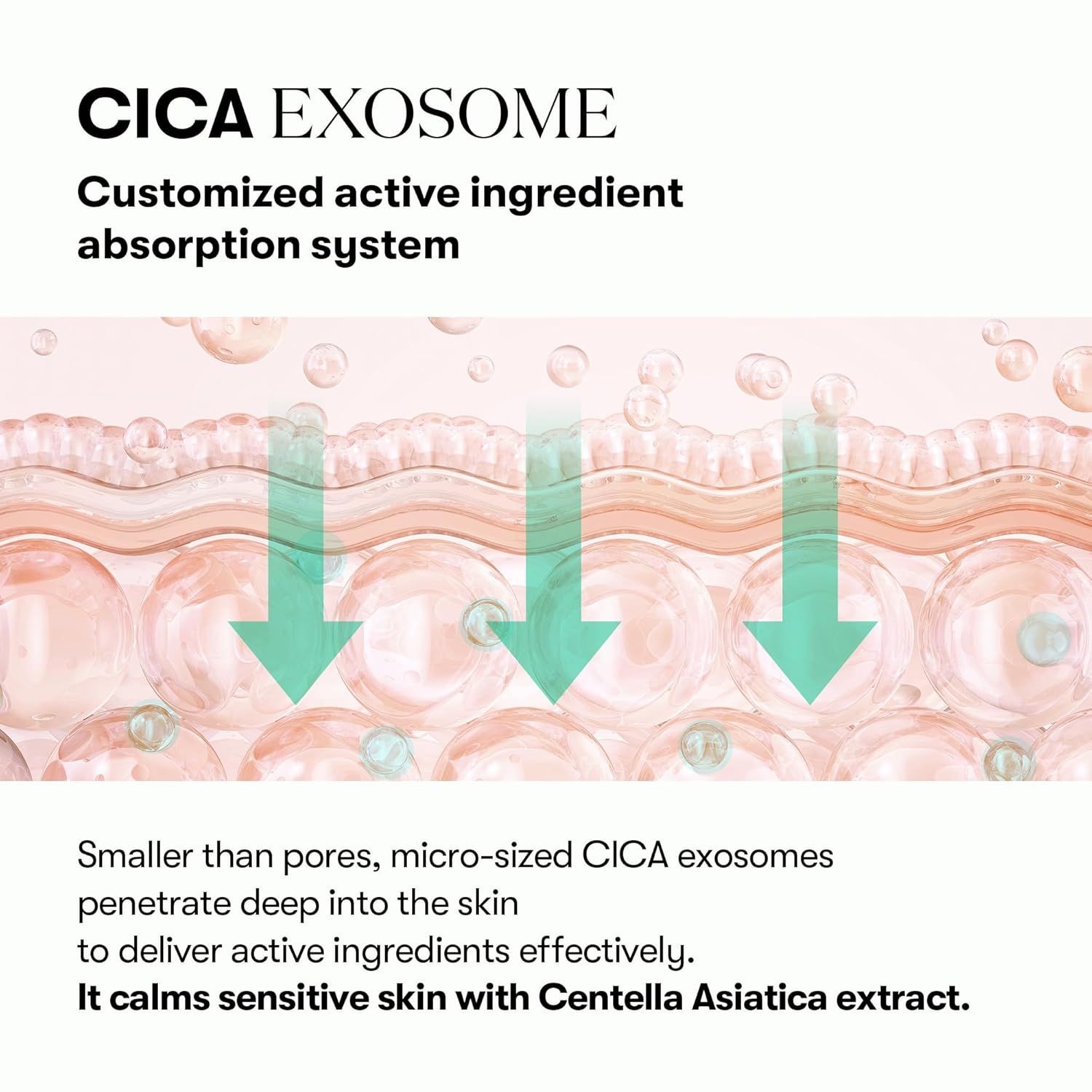 VT Cosmetics PDRN Cica Exosome Firming Ampoule