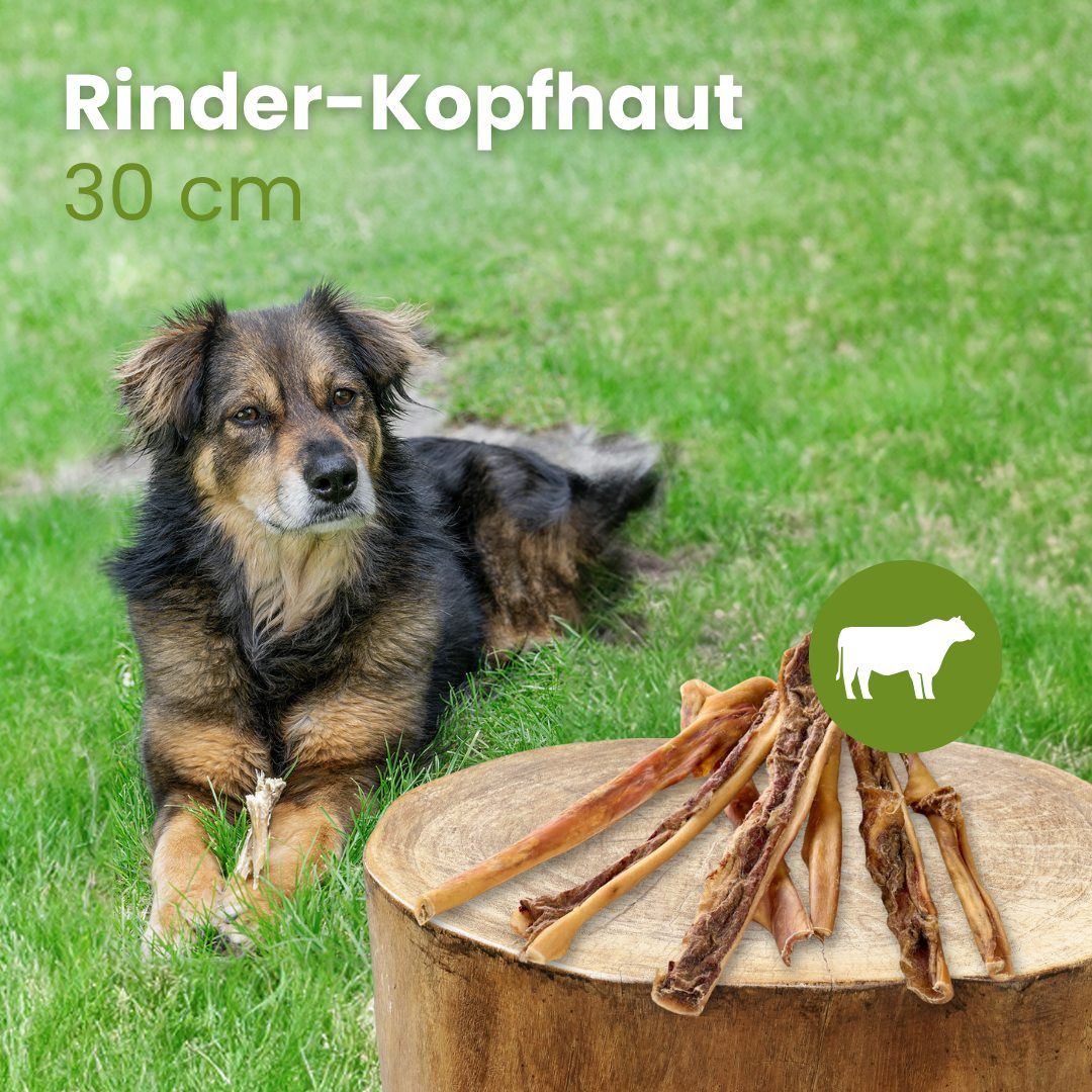 Ein Hund liegt auf einer Wiese neben einem Baumstumpf mit Rinderkopfhautstreifen.
