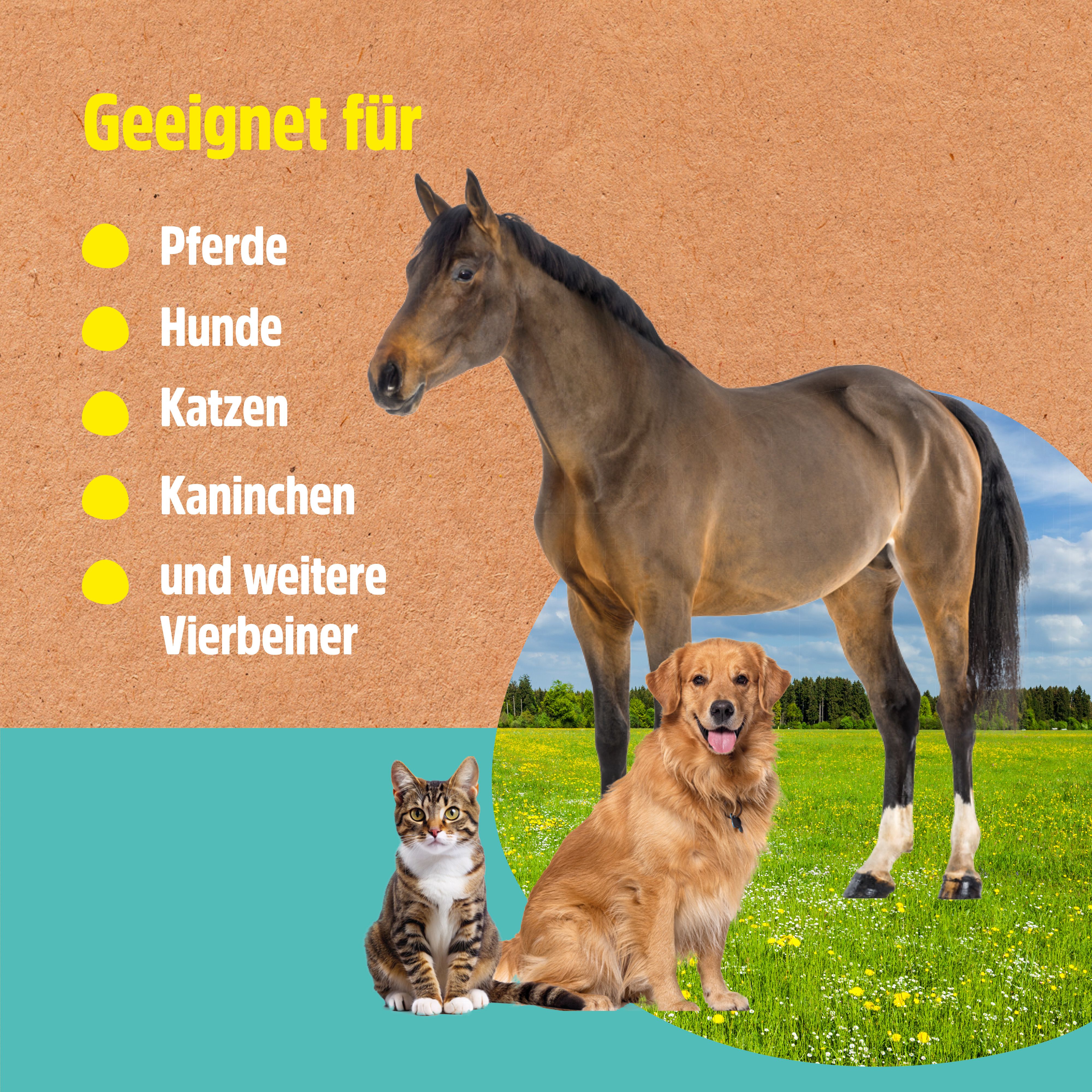 Illustrationen von Pferd, Hund, Katze und Kaninchen. Text: Geeignet für Pferde, Hunde, Katzen, Kaninchen.