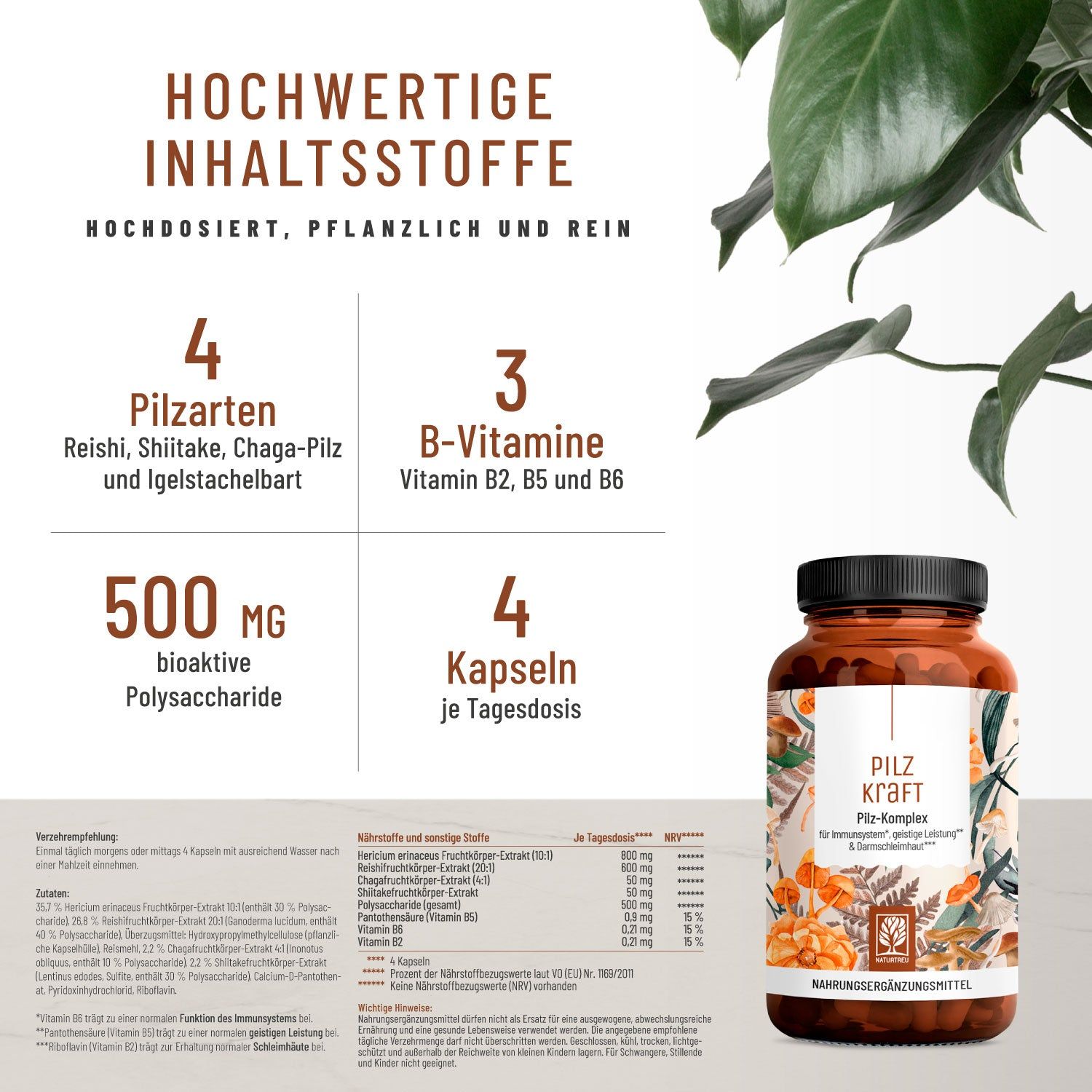 Pilz Komplex mit Hericium Erinaceus (Lions Mane), Reishi, Chaga & Shiitake- Pilzkraft - NATURTREU®