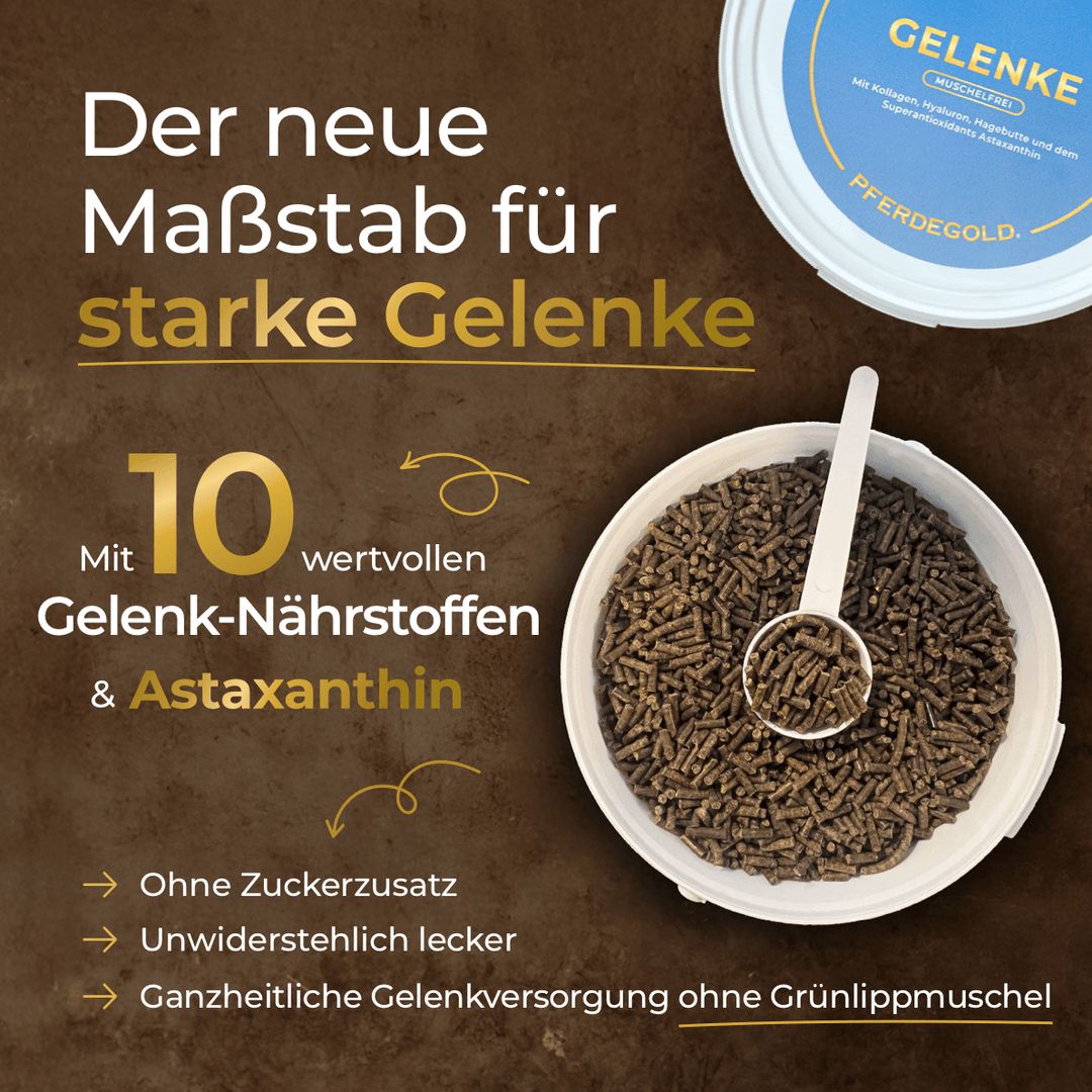 Pferdegold Gelenke muschelfrei