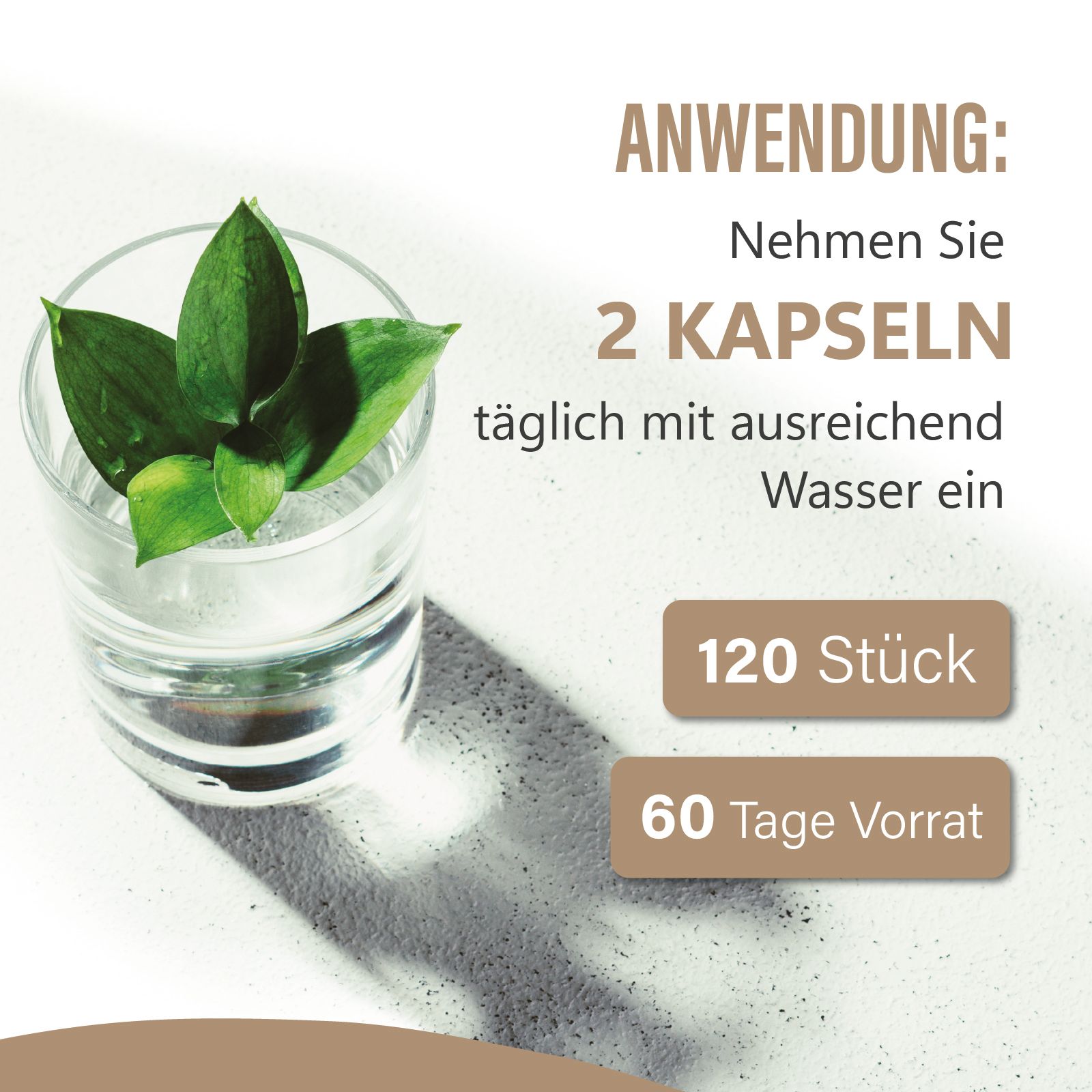 Glas mit Wasser und Blättern. Text: Nehmen Sie 2 Kapseln täglich mit Wasser ein. 120 Stück, 60 Tage Vorrat.
