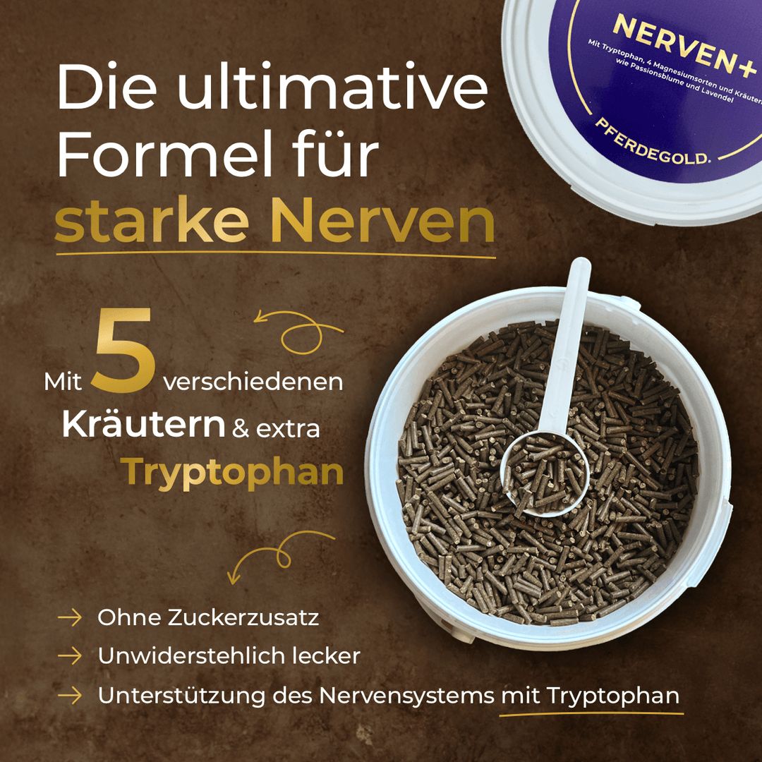 Pferdegold Nerven+
