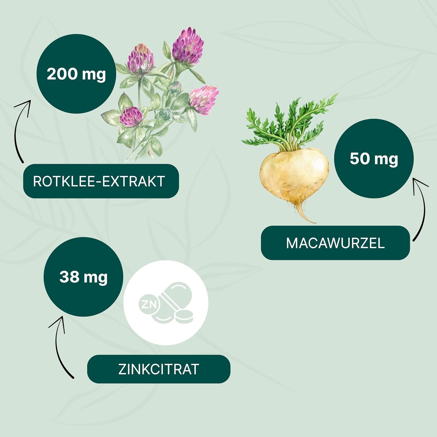 Grafik mit Rotklee-Extrakt, Macawurzel und Zinkcitrat. Mengen: 200 mg, 50 mg, 38 mg. Pfeile zeigen die Inhaltsstoffe.